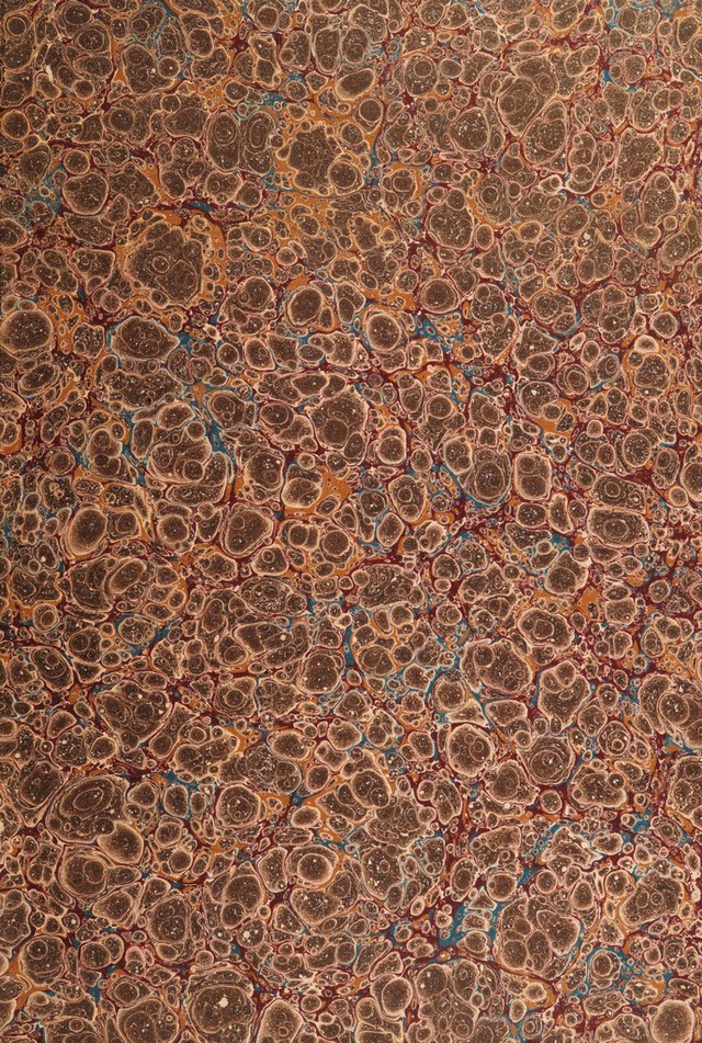 No text description is available for this image