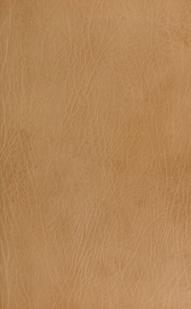 No text description is available for this image