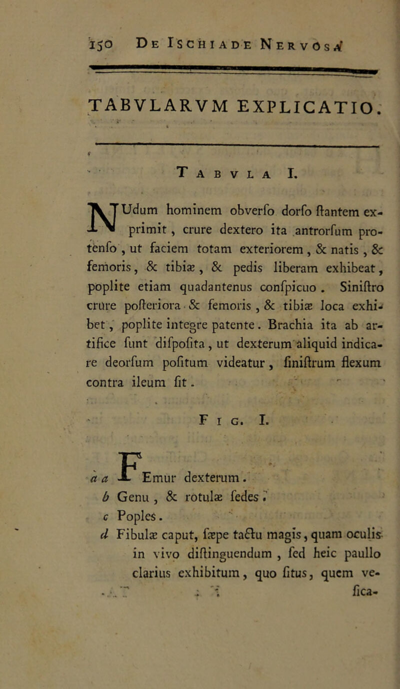 TABVLARVM EXPLICATIO. • 4 1,1 1 - t T A B V L A I. NUdum hominem obverfo dorfo ftantem ex- primit , crure dextero ita antrorfum pro- tenfo , ut faciem totani exteriorem , & natis , & femoris, & tibia;, & pedis liberam exhibeat, poplite etiam quadantenus confpicuo . Siniftro crure pofteriora & femoris , & tibise loca exhi- bet, poplite integre patente. Brachia ita ab ar- tifice funt difpofìta,ut dexterum aliquid indica- re deorfum pofitum videatur, finiftrum flexum contra ileum fit. F i g. I. a a Emur dexterum. b Genu , & rotula; fedes c Poples. d Fibula; caput, fepe taftu magis,quam oculis in vivo diftinguendum , fed heic paullo clarius exhibitum, quo fitus, qucm ve- i fica-