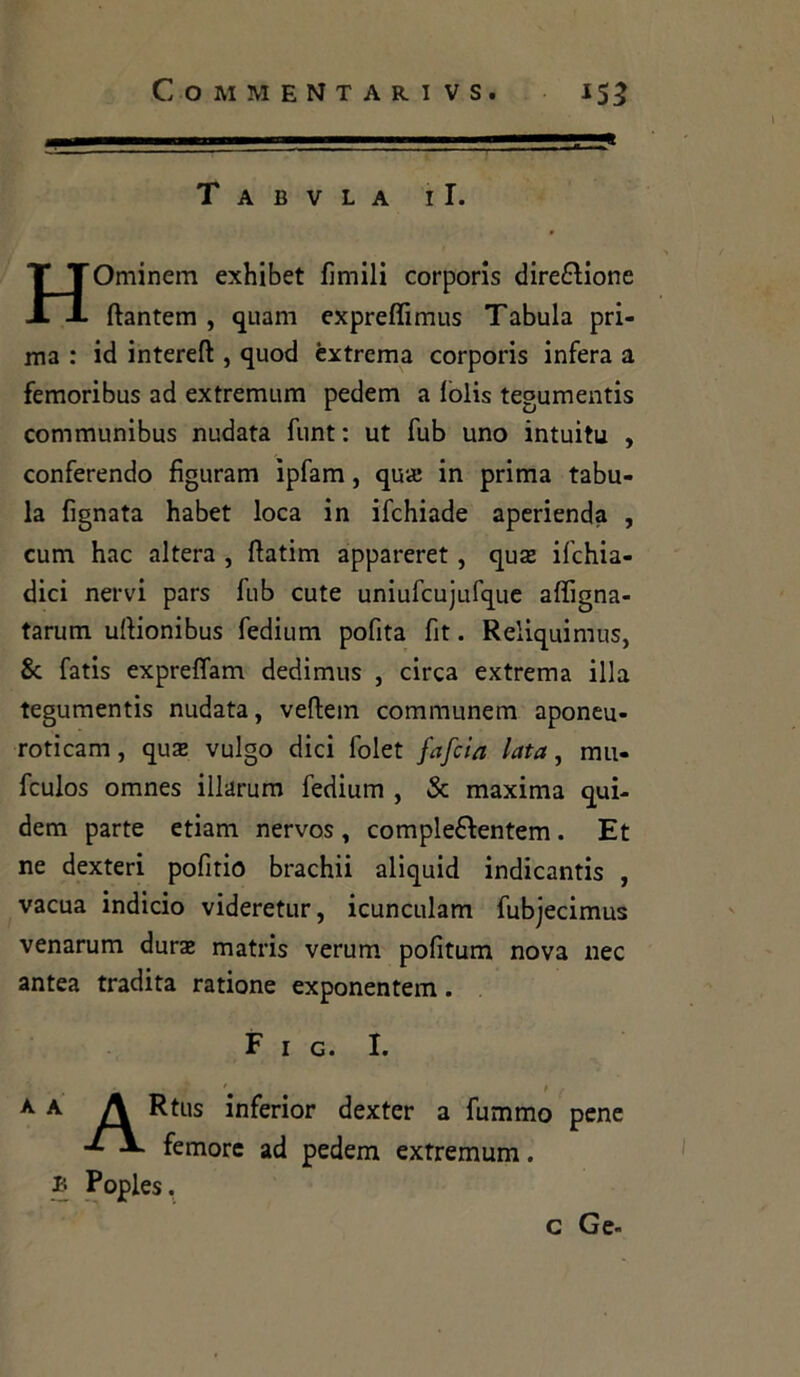 T A B V L A il. Ominem exhibet filmili corporis direzione ftantem , quarti expreffimus Tabula pri- ma : id intereft , quod èxtrema corporis infera a femoribus ad extremum pedem a lolis tegumentis communibus nudata flint : ut fub uno intuitu , conferendo figurarci ìpfam, qua; in prima tabu- la Tignata habet loca in ifchiade aperienda , cum hac altera , fiatim appareret , qua; ifchia- dici nervi pars fub cute uniufcujufque aflìgna- tarum ufiionibus fedium pofita fit. Reliquimus, & fatis expreflam dedimus , circa extrema illa tegumentis nudata, veftein communem aponeu- roticam, qua; vulgo dici folet fafcìa lata, mu- fculos omnes illarum fedium , «Se maxima qui- dem parte etiam nervos, comple&entem. Et ne dexteri pofirio brachii aliquid indicantis , vacua indicio videretur, icunculam fubjecimus venarum dura; matris verum pofitum nova nec antea tradita ratione exponentem. F 1 g. I. p ARtus inferior dexter a fummo pene femore ad pedem extremum. » Poples. c Ge-