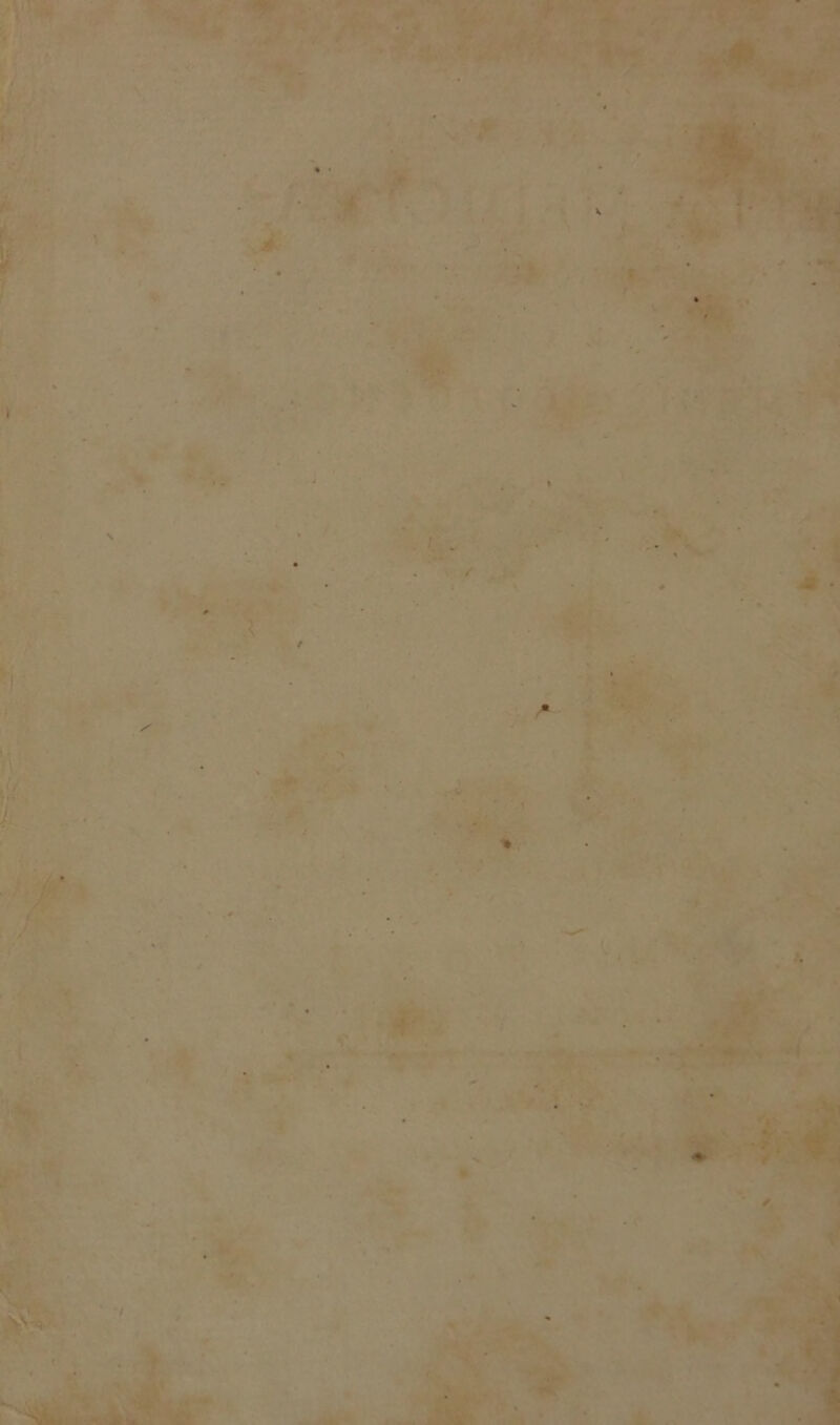 . ►* / I y ' > ' ■ *