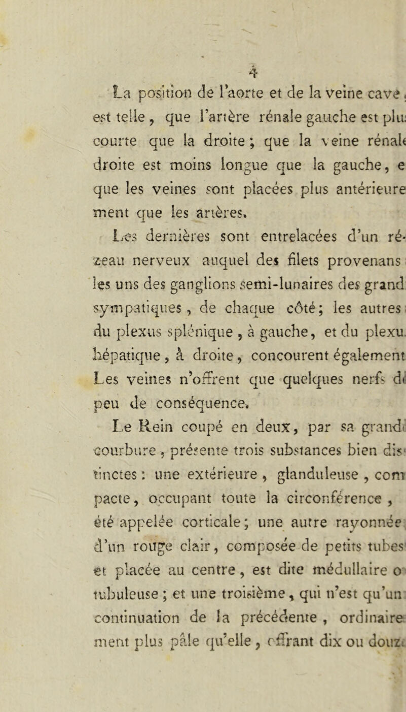 La position de l’aorte et de la veine cave. est telle , que l’artère rénale gauche est plu: courte que la droite; que la veine rénalt droite est moins longue que la gauche, e que les veines sont placées plus antérieure ment que les artères. Les dernières sont entrelacées d’un ré- zeau nerveux auquel des filets provenans les uns des ganglions semi-lunaires des grand sympatiques, de chaque côté; les autres du plexus splénique , à gauche, et du plexu hépatique , à droite, concourent également Les veines n’offrent que quelques nerfs d< peu de conséquence. Le Rein coupé en deux, par sa grand» courbure , présente trois substances bien dis1 tinctes : une extérieure , glanduleuse , com pacte, occupant toute la circonférence , été appelée corticale; une autre rayonnée d’un rouge clair, composée de petits tubes et placée au centre, est dite médullaire o tubuleuse ; et une troisième, qui ti’est qu’un continuation de la précédtente , ordinaire ment plus pâle qu’elle , offrant dix ou douh