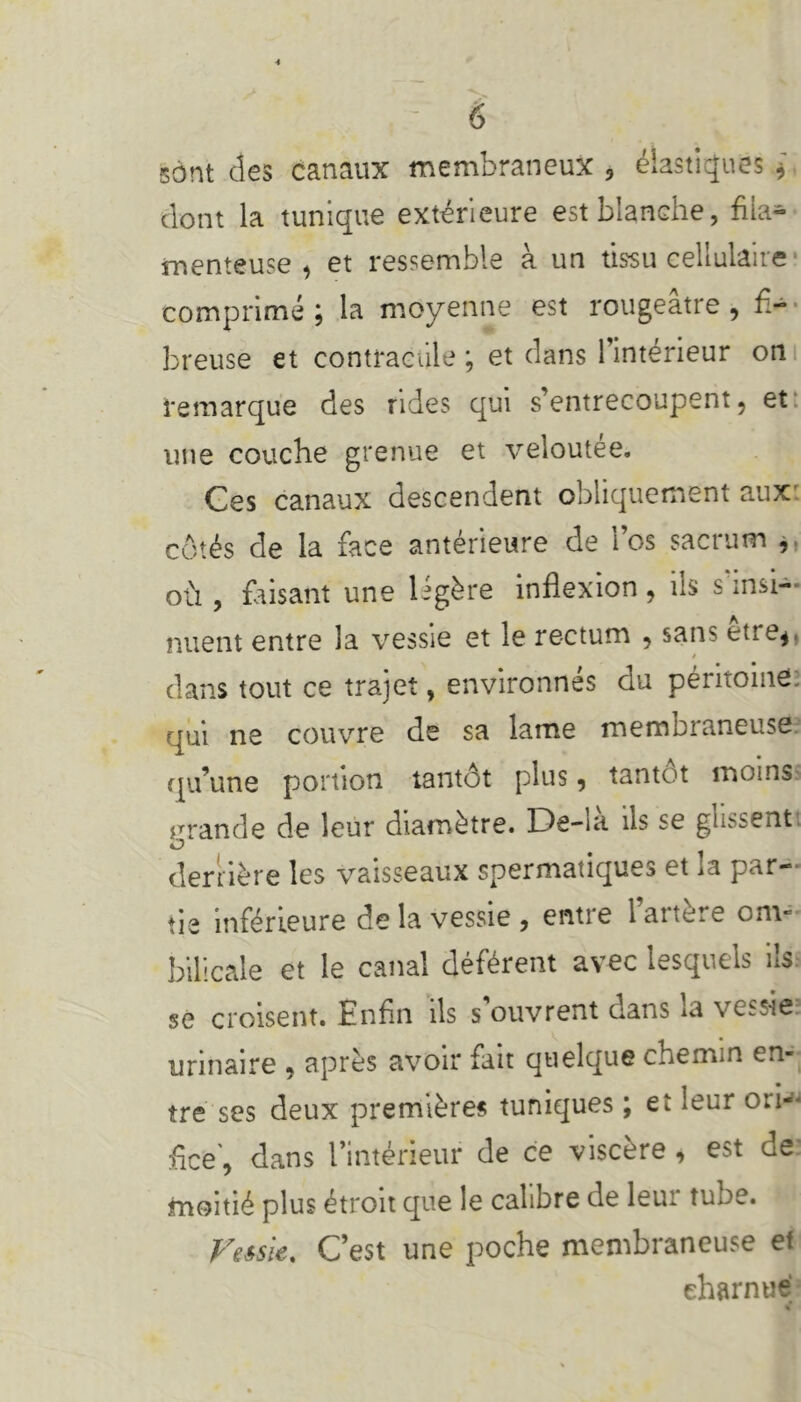 sont des canaux membraneux , élastiques * dont la tunique extérieure est blanche, fila- menteuse , et ressemble à un tissu cellulaire comprimé ; la moyenne est rougeâtre , fi- breuse et contractile ; et dans l’intérieur on remarque des rides qui s’entrecoupent, et une couche grenue et veloutée. Ces canaux descendent obliquement aux' cotés de la face antérieure de i os sacrum , où , faisant une légère inflexion, us s insi- nuent entre la vessie et le rectum , sans etre*. » dans tout ce trajet, environnés du péritoine; qui ne couvre de sa lame membraneuse qu’une portion tantôt plus, tantôt moins grande de leur diamètre. Iùe-ia ils se glosent O derrière les vaisseaux spermatiques et la par- tie inférieure delà vessie , entre laitere onr bilicale et le canal déférent avec lesquels ils se croisent. Enfin ils s ouvrent dans iâ vessie, urinaire , après avoir fait quelque chemin en- tre ses deux premières tuniques ; et leur ori- fice, dans l’intérieur de ce viscère , est de moitié plus étroit que le calibre de leur tube. Vessie. C’est une poche membraneuse et charnue