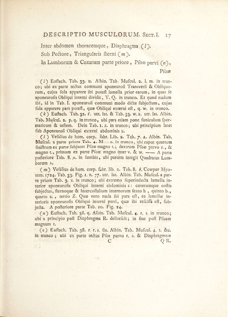 Inter abdomen thoracemque 5 Diaphragma (/). Sub Pedtore , Triangularis fterni ( m ), Ia Lumborum & Coxarum parte priore ? Pfoae parvi Qn)*> Ffoss (i) Euftach. Tab. 33. u. Albin. Tab. Mufcul. 2. 1. m. In trun- co; ubi ex parte tedus communi aponeurofi Transverfi & Obliquo- rum , cujus fola apparere ibi poteft lamella prior earum, in quas fe aponeurofis Obliqui interni dividit, Y. Q. in trunco» Et quod nudum ibi, id in Tabui, aponeurofi communi modo dite fu bj e dum, cujus fola apparere pars poteft, quae Obliqui externi eft, q. w. in trunco. (&) Euftach. Tab. 32. r. utr. lac. & Tab.33. w.x. utr, lac. Albin. Tab, Mufcul. 2. p. q. in trunco , ubi pars edam pone funiculum fper- madcum & teftem. Dein Tab. 1. z. in trunco; ubi principium latet fub Aponeurofi Obliqui externi abdominis x. (/ ) Vefalius de hiim. corp. fabr. Lib. a. Tab. 7» A. Albin. Tab. Mufcul. a parte priore Tab. 4. M — o. in trunco, ubi caput quartum finiftrumex parte fubjacet P fote magno t.; dextrum Pfoae parvo r., & magno t., primum ex parte Pfoae magno inter v. & w. —— A parte pofteriore Tab. 8. /u. in lumbis, ubi partem integit Quadratus Lum- borum A. (m) Vefalius de hum. corp. fabr. lib. 2. Tab. 8. Covvper Myo» tora. 1724. Tab. 33. Fig. 1. n. 77. utr. lat. Albin. Tab. Mufcul. a par- te priore Tab. 3. x. in trunco; ubi extremo fuperinduda lamella in- terior aponeurofis Obliqui interni abdominis s: caeterumque coftis fiubjedus, fternoque & Intercoftalium internorum fexto h , quinto b., quarto a. , tertio Z. Quae vero nuda ibi pars eft, ea lamellae in- terioris aponeurofis Obliqui interni parti, qua? ibi refciifa eft, fub- jeda. A pofteriore parte Tab. 10. Fig. 24. (//) Euftach. Tab. 38. q. Albin. Tab. Mufcul. 4. r. s. in trunco; ubi a principio poft Diaphragma R. delitefcic; in fine poft Pfoain magnum r. (0) Euftach. Tab. 38. r. r. s. (In. Albin. Tab. Mufcul. 4. t. &c. in trunco ; ubi ex parte tedus Pfoa parvo r. s. & Diaphragmate C Q R.