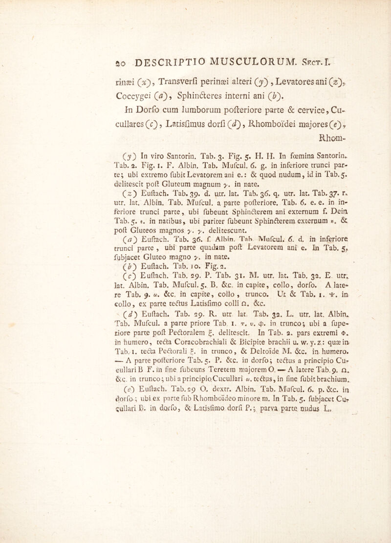 rinsei (Y), Transverfi perinaei alteri (j) , Levatores ani (Y)* Coccygei (V), Sphindteres interni ani (i). in Dorfo cum lumborum pofteriore parte & cervice ,Cu- cullares (c) ? Latisfimus dorfi(^}5 Rhomboidei majores Qe) y Rhom- (y) In viro Santorin. Tab. 3. Fig. 5. H. IL In foemina Santorin, Tab. 2. Fig. 1. F. Albin. Tab. Mufcul. <5. g. in inferiore trunci par- ce; ubi extremo fubicLevatorem ani e.: & quod nudum, id in Tab.5. delitescit pol! Gluteum magnum y. in nate. (2) Euftach. Tab. 39. d. utr. lat. Tab. 36. q. utr. lat. Tab. 37. r* utr. lat. Albin. Tab. Mufcul. a parte pofleriore. Tab. 6. e. e. in in- feriore trunci parte, ubi fubeunt Sphin&erem ani externum f. Dein Tab.5. e. in natibus, ubi pariter fubeunt Sphincflerem.externum & polt Gluteos magnos y. y. delitescunt. (a) Eufrach. Tab. 36. f Albin. Tab Mufcul. 6. d. in inferiore trunci parte , ubi parte quadam poft Levatorem ani e. In Tab. 5, fubjacet Gluteo magno y. in nate. (£) Euftach. Tab. 10. Fig.2. (c) Euftach. Tab. 29. P. Tab. 31. M. utr. lat. Tab. 32. E. utr, lat. Albin. Tab. Mufcul.5. B, &c in capite, collo, dorfo. A late* re Tab. 9. «. &c. in capite, collo , trunco. Ut & Tab. i. *s\ in collo, ex parte tectus Latisfimo colli n. &c. (d) Euftach. Tab. 29. R. utr lat. Tab. 32. L. utr. lat. Albin. Tab. Mufcul. a parte priore Tab 1. r. u. 4). in trunco; ubi a fupe- riore parte poft Pe&oralem g. delitescit. In Tab» 2. pars extremi o. in humero, tedta Coracobrachiali & Bicipite brachii u. w. y.z : qucein Tab. i. tecta Pectorali f. in trunco, & Dekoide M. &c. in humero. -— A parte pofteriore Tab. 5. P. <&c. in dorfo; tedtus a principio Cu- eullariB F. in fine, fubeuns Teretem majorem O. — A latere Tab. 9. aa &q. in trunco; ubi aprincipioCucullari tedtus,in fine fubitbrachium. (e) Euftach, Tab. 29 O, dextr. Albin. Tab. Mufcul. 6. p. &c. in dorfo ; ubi ex parte fub Rhomboideo minore m. In Tab. 5. fubjacet Cu? sullari B. in dorfo, & Latisfimo dorfi P.; parva parte nudus L,