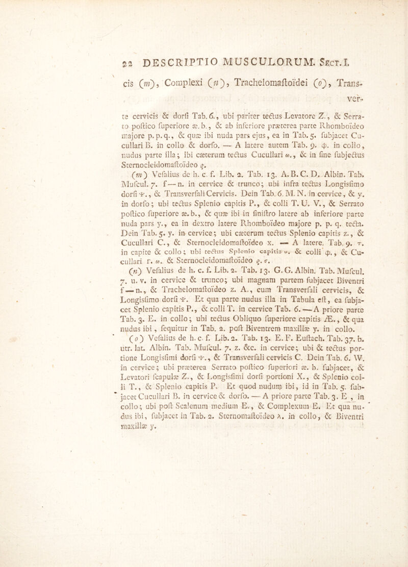 \ «2 DESCRIPTIO MUSCULORUM. Sect.I. cis (/«), Complexi («), Trachelomaftoidei (V), Trans- ver» te cervicis & dorfi Tab.6., ubi pariter tedus Levatore Z., & Serra- to poftico fuperiore te. b., & ab inferiore praeterea parte Rhomboideo majore p. p. q., & quae ibi nuda pars ejus, ea in Tab.5. fubjacet Cu- cullari B. in collo & dorfo. •— A latere autem Tab. 9. 43. in collo , nudus parte illa; ibi cteterum tedtus Cucullari w., & in fine fubjeftus Sternocleidomaftoideo q. (m') Vefalius de h. c. f. Lib. 2. Tab. 13. A.B.C. D^Albin. Tab» Mufcul. 7- f—n. in cervice & trunco; ubi infra cedtus Longisfimo dorfi-*’., & Transverfal i Cervicis. Dein Tab. 6, M.N. in cervice, & y, in dorfo; ubi te&us Splenio capitis P., & colli T. U. V., & Serrato poftico fuperiore te. b., & qute ibi in ftniftro latere ab inferiore parte nuda pars y., ea in dextro latere Rhomboideo majore p. p. q. tedla. Dein Tab. 5. y. in cervice; ubi cteterum tedlus Splenio capitis z», & Cucullari C., & Sternocleidomaftoideo x. — A latere. Tab, 9. t. in capite & collo; ubi te&us splenio capitio V. &; colli 4), , & Cu- cullari r. «. & Sternocleidomaftoideo q. <r. Vefalius de h» c» f. Lib. 2» Tab. 13. G.G. Albin. Tab. Mufcul. 7. u. v. in cervice & trunco; ubi magnam partem fubjacet Biventri f — n,, & Tracbelomaftoideo z. A., cum Transverfal i cervicis, & Longisfimo dorfi Et qua parte nudus illa in Tabula eft, ea fubja- cet Splenio capitis P., & colli T. in cervice Tab. 6.~ A priore parte Tab. 3. E. in collo; ubi te&us Obliquo fuperiore capitis JE., & qua nudus ibi, fequitur in Tab. 2. poft Biventrem maxillae y. in collo. (0) Vefalius de lue. f. Lib. 2. Tab. 13., E. F. Euftach. Tab. 37. b» utr. lac. Albin» Tab. Mufcul. 7. z» &c. in cervice; ubi & tectus por- tione Longisfimi dorfi *\, & Transverfali cervicis C. Dein Tab, 6. W. in cervice; ubi praeterea Serrato poftico fu peri ori te. b. fubjacet, & Levatori fcapulte Z., & Longisfimi dorfi portioni X., & Splenio col- li T., & Splenio capitis P* Et quod nudum ibi, id in Tab. 5. fub- jacet Cucullari B. in cervice & dorfo. — A priore parte Tab. 3. E , in collo; ubi poft Scalenum medium E«, & Complexum E. Et qua nu-  dus ibi, fubjacet in Tab. 2. Sternomaftoideo a. in collo, & Biventri maxillse y. I /