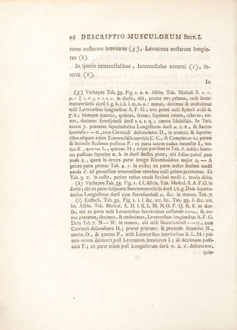 tores collarum breviores Levatores collarum longio- res Qhy x In: fpatiis intercoftalibus 9 Intercoftales externi Qf) , in- terni (£). - > - , ■ : V' r In Cg) Verheyen Tab. 35, Fig. 1. e. e. Albin. Tab. MufcuL 8. k. a. v '7T' (r‘ ?-T* in dorfo, ubi, prteter tres primos, tedi Inter- transverfariis dorfi f. g. h. i,k. 1. m. n. o.: nonus, decimus & undecimus te di Levatoribus longioribus A. F. G.; tres primi tedi Spinali colli 6. 7.8.; itemque quartus, quintus, fextus; feptimus autem, odavus, no- nus, decimus Semifpinali dorfi t. s. r. q. ; omnes Multifido. In Tab. autem 7. praeterea fuperindudus Longifiimus dorfi /u. x. & Sacro- lumbalis v — n., cum Cervicali defcendente D., in trunco ; & fuperio- ribus aliquot etiam Transverfalis cervicis C. C., & Complexus u.; primo & fecundo Scalenus podicus F.: ex parte autem nudus fecundus I, ter- tius K,, quartus L., quintus M,; iisque partibus in Tab. 6. infide t Serra- tus podicus fuperior se. b. in dorfi finidra parte; ubi foliusquinti pars nuda <p., quam in dextra parte integit Rhomboideus major q. — A priore parte primus Tab. 4. <r. in collo; ex parte tedus Scaleni medii cauda A ad procedum transverfum vertebrse colli primse pertinente. Et Tab. 3. s. in collo, pariter tedus cauda Scaleni medii c. modo dido,. (li9 Verheyen Tab. 35. Fig. 1. f. f. Albin. Tab. MufcuL 8. A. F.G. in dorfo; ubi ex parte fubjacentlntertransverfariis dorfi i.h.g, Dein fuperin- dudus Longisfimus dorfi cum Sacrolumbali &c. in trunco. Tab. 7. (i) Eufiach. Tab. 39. Fig. i. i. 1. &c. utr. lac. Tab. 33. L &c. utr. Iat. Albin. Tab. MufcuL 8. LI. I. K.L. M. N.O. P. Q. R. S. in dor- fo, ubi ex parte tedi Levatoribus brevioribus collarum a—u,, & no- nus prseterea, decimus, & undecimus, Levatoribus longioribus A. F. G. Dein Tab.7. N — W. in trunco, ubi tedi Sacrolumbali v— n., cum Cervicali defcendente D.; prseter primum: & prseterea fecundus N., tertius O., & quartus Pt, tedi Levatoribus brevioribus IV L. M.: pri- mus autem delitescit pod Levatorem breviorem L; & Scalenum poftie cum F.; ex parte etiam poli Longisfimum dorfi X. T. delitescunt, , ■ quin-