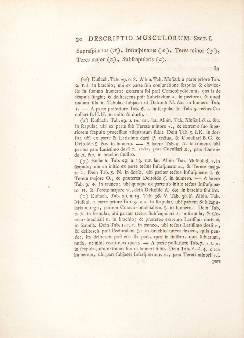 Suprafpinatus (V)? Infrafpinatus (x), Teres minor Qy*)9 Teres major (z) , Subfcapularis (V). In (V) Euftach. Tab. 29. n, 8. Albin.. Tab. Mufcul. a parte priore Tab. a. r. s. in brachio; ubi ex parte fub conjundtione fcapula? & clavicu- la? in fumtno humero: cseterum ibi poft Coracohyoideum, qua is de fcapula furgit; & delitescens poft Subclavium <r. in pedlore; & quod nudum illa in Tabula, fubjacet id Deltoidi M. &c. in humero Tab. 1. — A parte pofteriore Tab. 6. /. in fcapula. In Tab. 5. tedlus Cu- cullari B, H. H. in collo & dorfo. • (V) Euftach. Tab. 29. n. 12. utr. lat. Albin. Tab. Mufcul. 6. /u. &c. in fcapula; ubi ex parte fub Terete minore r., & extremo fuo fupe- xiorem fcapula? procefTum aliquantum fubit. Dein Tab. 5. I.K. in dor- fo; ubi ex parte & Latisfimo dorli P. teiftus, & Cucullari B. G. & Deltoide £. &c. in humero. — A latere Tab. 9. n. in trunco; ubi pariter pars Latisfimo dorfi n. tecla, pars Cucullari s., pars 'Deltoi- de A. &c. in brachio fmiftro. (3?) Euftach. Tab. 29., n 13. utr. lat. Albin. Tab. Mufcul. 6. t. in fcapula; ubi ab initio ex parte te&us Infrafpinato <r., & Terete majo- re 4. Dein Tab. 5. N. in dorfo, ubi pariter te&us Infrafpinato I. & Terete majore O,, & prseterea Deltoide £. in humero. — A latere Tab. 9. in trunco; ubi quoque ex parte ab initio tedlus Infrafpina- to. n. & Terete majore dein Deltoide A. &c. in brachio fmiftro. (~ ) Euftach. Tab. 29. n. 15. Tab. 36. V. Tab. 38. F. Albin. Tab. Mufcul. a parte priore Tab 3. z.a. in fcapula; ubi partem Subfcapu- laris v. tegit, partem Coraco - brachialis«. £, in humero. Dein Tab. 2. 2. in fcapula; ubi pariter tedlus Subfcapulari A. in fcapula, & Co- raco-brachiali u. in brachio; & pra?terea extremo Latifiimi dorfi in fcapula. Dein Tab. 1. <r. er. in trunco, ubi teeftus Lacifllmo dorfi t., & delitescit poft Peeftoralem : in brachio autem dextro, quia pen- det, ita delitescit poft eos illa pars, quas in finiftro, quia fublatum, nuda, ut nihil carni ejus queat. — A parte pofteriore Tab. ^7'•+ ^ * X • fjj 9 io fcapula, ubi extremo fuo os humeri fubit. Dein Tab. 6. 4.4. circa iuitaerum, ubi pars fubjacet Infrafpinato r. (r., pars Tereti minori t,, pars
