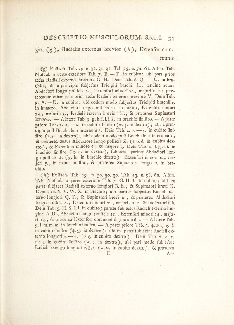 gior (g), Radialis externus brevior (//), Extenfor com- munis (g) Euftach. Tab. 29 n. 31. 31.31. Tab. 33. n. 52. 61. Albin. Tab, Mufcul. a parte exteriore Tab. 7. B. — F. in cubito; ubi pars prior tedla Radiali externo breviore G. H. Dein Tab. 6. Q. — U. in bra- chio; ubi a principio fubje&us Tricipiti brachii L.; tendine autem Abdudlori longo pollicis a., Extenfori minori majori a. c.; prse- tereaque etiam pars prior tedla Radiali externo breviore V. Dein Tab, 5. A.—D. in cubito; ubi eodem modo fubjedlus Tricipiti brachii <*. in humero, Abdudlori longo pollicis 21, in cubito, Extenfori minori 24., majori 13., Radiali externo breviori IT., & praeterea Supinatori longo «. — A latere Tab. 9. g. h.i. i. i. k, in brachio finiftro. —A parte priore Tab. 3. <r. — v, in cubito finiftro (V. ^ in dextro); ubi a prin- cipio poft Brachialem internum g. Dein Tab. 2. v.— in cubito fini- ftro (x.fji. in dextro); ubi eodem modo poft Brachialem internum *.t & praeterea tedlus Abdudlore longo pollicis Z. (a. b. d. in cubito dex- tro), & Extenfore minore e,, & majore g, Dein Tab. 1. f.g.h.L in brachio finiftro (g. h. in dextro), fubjedlus pariter Abdudlori lon- go pollicis cp. (%. b. in brachio dextro) Extenfori minori c,, ma- jori y., in manu finiftra , & praeterea Supinatori longo n. in bra- chio. (k) Euftach. Tab. 29. n. 30. 30. 30. Tab. 23. n. 58. 62. Albin. Tab. Mufcul. a parte exteriore Tab. 7. G. H. I. in cubito; ubi ex parte fubjacet Pvadiali externo longiori B. E., & Supinatori brevi K. Dein Tab. 6. V. W. X. in brachio; ubi pariter fubjedlus Radiali ex- terno longiori Q. T., & Supinatori brevi A.; & praeterea Abdudlori longo pollicis a., Extenfori minori majori, a. c. <$t Indicatori f h. Dein Tab. 5. H. S. 1.1. in cubito; pariter fubjedlus Radiali externo lon- giori A.D., Abdudlori longo pollicis 21., Extenfori minori 24., majo- ri 13., & praeterea Extenfori communi digitorum d. r. — AlatereTab. 9.1. m. m. m. in brachio finiftro. — A parte priore Tab. 3. cp.cp. x-X' 4* in cubito finiftro (4>. %. in dextro); ubi ex parte fubjedlus Radiali ex- terno longiori <r. — r. (tt.in cubito dextro). Dein Tab. 2. <r. <r. c.'f. ?. in cubito finiftro (<r. c. in dextro); ubi pari modo fubjedlus Radiali externo longiori v.P.o, (a,^. in cubito dextro), & praeterea