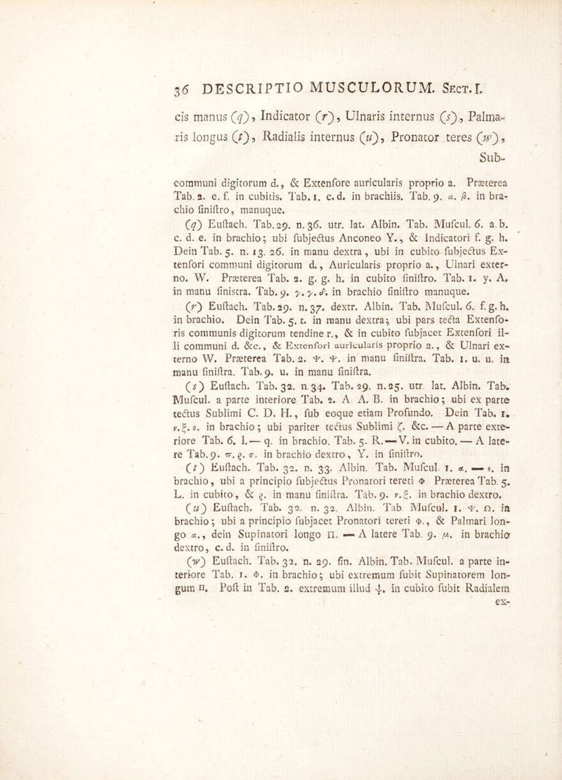 cis manus (q), Indicator (r), Ulnaris internus (Vi, Palma- ris longus (V), Radialis internus (V), Pronator teres ('w), Sub- comtnuni digitorum d., & Extenfore auricularis proprio a. Praeterea Tab. 2. e. f. in cubitis. Tab. i. c. d. in brachiis. Tab. 9, /3. in bra- chio finiftro, manuque. 0/) Euftach. Tab. 29. n. 36. utr. lat. Albin. Tab. Mufcul. 6. a.b. c. d. e. in brachio; ubi fubjedtus Anconeo Y., & Indicatori f. g. h. Dein Tab. 5. n, 13. 2 6. in manu dextra, ubi in cubito fubjeftus Ex- tenfori communi digitorum d., Auricularis proprio a., Ulnari exter- no. W. Praeterea Tab. 2. g. g. h. in cubito finiftro. Tab. 1. y. A, in manu linistra. Tab. 9. y. y. in brachio finiftro manuque. (r) Euftach. Tab. 29. n. 37. dextr. Albin. Tab. Mufcul. 6. f. g. h. in brachio. Dein Tab. 5. c. in manu dextra; ubi pars refla Extenfo- ris communis digitorum tendine r., & in cubito fubjacet Extenfori il- li communi d. &c., & Extenfori auricularis proprio a., & Ulnari ex* terno W. Pneterea Tab. 2. ■¥*. •¥*. in manu finiftra. Tab. 1. u. u, m manu finiftra. Tab. 9. u. in manu finiftra. (T) Euftach. Tab. 32. a34. Tab. 29, n.25. utr. lat. Albin. Tab. Mufcul. a parte interiore Tab. 2. A A. B. in brachio; ubi ex parte teflus Sublimi C. D. H., fub eoque etiam Profundo. Dein Tab. 1. v,?>o. in brachio; ubi pariter teftus Sublimi £. &c.—A parte exte- riore Tab. 6. 1.— q, in brachio, Tab. 5. R. —V. in cubito.— A late- re Tab.9. ir.q. c, in brachio dextro, Y. in finiftro. (Y) Euftach. Tab. 32. n. 33. Albin. Tab. Mufcul 1. et, — e. in brachio, ubi a principio fubjeflus Pronatori tereti s> Praeterea Tab. 5. L. in cubito, & in manu finiftra. Tab. 9. v.g. in brachio dextro. (z/) Euftach. Tab. 32. n. 32. Albin. Tab Mufcul. 1. •*'. n. in brachio; ubi a principio fubjacet Pronatori tereti & Palmari lon- go dein Supinatori longo n. «** A latere Tab. 9. in brachia dextro, c. d. in finiftro. (V) Euftach. Tab. 32. n. 29. fin. Albin. Tab. Mufcul. a parte in- teriore Tab. 1. <x>. in brachio; ubi extremum fubit Supinatorem lon- gum n. Poft in Tab. 2. extremum illud 4» in cubito fubit Radialem
