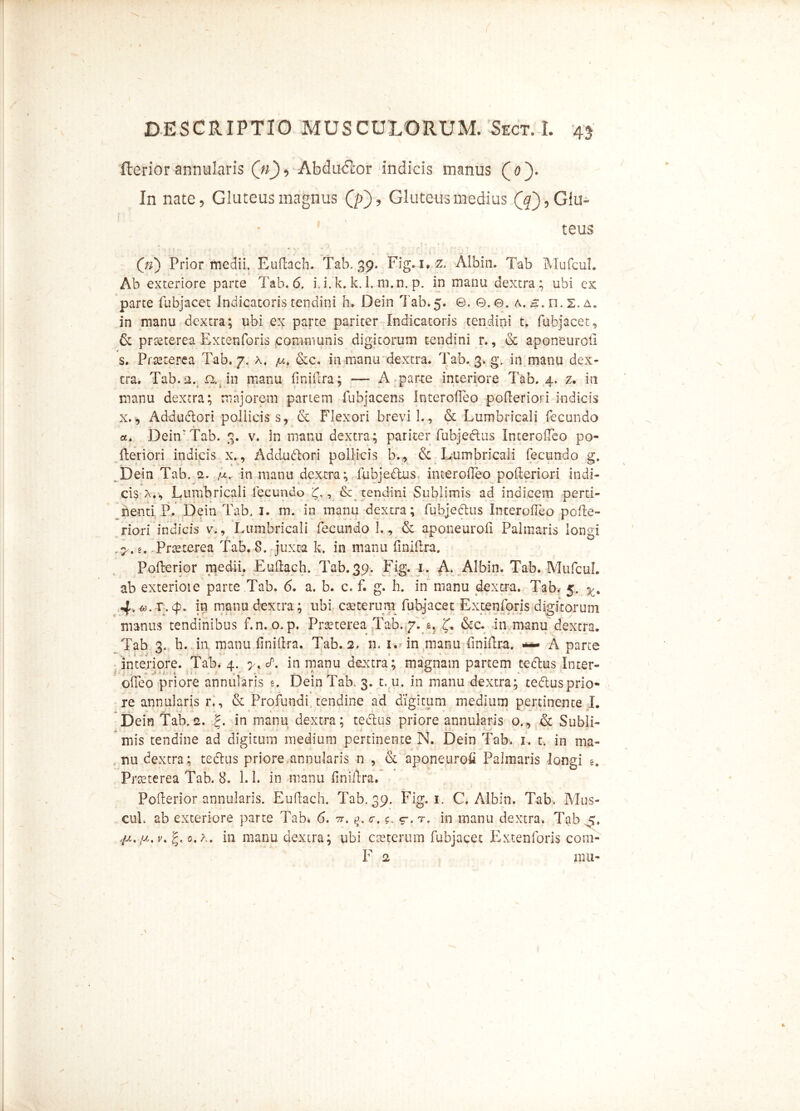 fterior annularis («_), Abducor indicis manus (X). In nate, Gluteus magnus Qf), Gluteus medius Qf), Glu- teus («) Prior ttiedii. Euflach. Tab. 39. Fig.i.z. Albin. Tab Mufcul. Ab exteriore parte Tab. 6, i. i. k. k. 1. m.n. p. in manu dextra; ubi ex parte fubjacet Indicatoris tendini h. Dein Tab.5. e. ©.©. a. s.n.s.A. in manu dextra; ubi ex parte pariter Indicatoris tendini t. fubjacet. Se praeterea Extenforis communis digitorum tendini r., Se aponeuroti s. Praeterea Tab. 7. x. &c. in manu dextra. Tab. 3. gx in manu dex- tra. Tab. a. n. in manu finiflra; — A parte interiore Tab. 4. z. in manu dextra; majorem partem fubjacens Interofleo poflerior i indicis x., Addudori pollicis s, ce Flexori brevi L, & Lumbricali fecundo «. DeinxTab. 3. v. in manu dextra; pariter fubjedus InterofTeo po« fleriori indicis x., Addudori pollicis b.r Se Lumbricali fecundo g, Dein Tab. 2. ,u. in manu dextra; fubjedus interoiTeo pofleriori indi- cis x.v> Lumbricali fecundo £,, & tendini Sublimis ad indicem perti- nenti P. Dein Tab. 1. m. in manu dextra; fubjedus InterofTeo pofle- riori indicis v., Lumbricali fecundo 1., Se aponeurofi Palmaris longi e. Praeterea Tab. 8. juxta k. in manu fmiflra. Poflerior medii. Euflach. Tab. 39. Fig. 1. A. Albin. Tab. Mufcul. ab exterioie parte Tab. 6. a. b. c. f. g. h. in manu dextra. Tab. 5. 4, o). r, 4» in manu dextra; ubi cteterum fubjacet Extenforis digitorum manus tendinibus f.n. o.p. Praeterea Tab. 7. *. f. &c. in manu dextra. Tab 3. h. in manu finiflra. Tab. 2. n. i.dn manu finiflra. A parce interiore. Tab. 4. yK <P. in manu dextra; magnam partem tedus Inter- offeo priore annuiaris s. Dein Tab. 3. t. u. in manu dextra; cedusprio- re annularis r.. Se Profundi tendine ad digitum medium pertinente L Dein Tab. 2. in manu dextra; tedus priore annularis o., Se Subli- mis tendine ad digitum medium pertinente N. Dein Tab. 1. t. in ma- nu dextra; tedus priore.annularis n , Se aponeurofi Palmaris longi e. Praeterea Tab. 8. 1.1. in manu finiflra. Poflerior annularis. Euflach. Tab. 39. Fig. 1. C. Albin. Tab, Mus- cuL ab exteriore parte Tab. 6. n. <r. g. c-. r. in manu dextra. Tab 5. ft./A. v. g. 0. x. in manu dextra; ubi aut erum fubjacet Extenforis com- F 2 mu-