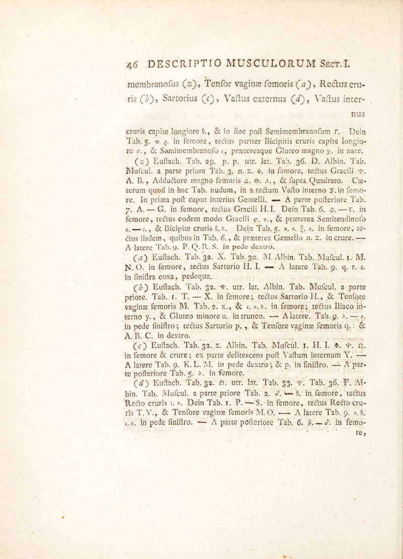 membranofus (z), Tenfor vagina femoris (V), Rectuscru- ris (b'), Sartorius (c), Vaftus externus Qdj, Vaftus inter- nus cruris capite longiore 0., & in fine poft Semimembranofum r. Dein Tab. 5. 7r in femore, tectus pariter Bicipitis cruris capite longio- re <r., & Semimembranofo c, pnetereaque Gluteo magno y. in nate. (z) Eullach. Tab. 29. p. p. utr. lat. Tab. 36. D. Albin. Tab. Mufcul. a parte priore Tab. 3. n. 2. 4>. in femore, tedlus Gracili P. A. B., Addudtore magno femoris a. ©. a., & fupra Quadrato. Cte- terum quod in hac Tab. nudum, in a.tedlum Vallo interno 2.in femo- re. In prima poli caput interius Gemelli. —» A parte pofieriore Tab. 7. A. — G. in femore, tedlus Gracili H. I. Dein Tab. 6. cp.—r. in femore, tedlus eodem modo Gracili 9-. t., & praeterea Semitendinofo 0. — c., & Bfcipite cruris 8. a. Dein Tab. 5. v. v. 0. in femore, te- cius iisdem, quibus in Tab. (5., & praeterea Gemello n. 2. in crure. — A latere Tab. 9. P. Q. R. S. in pede dextro. (a) Eullach. Tab. 32. X. Tab. 30. M. x\lbin. Tab. Mufcul. 1. M. N. O. in femore, tectus Sartorio H. I. — A latere Tab. 9. q. r. s. in iinillra coxa, pedeque. cb') Eullacb. Tab. 32. utr. Iat. Albin. Tab. Mufcul. a parte priore. Tab. 1. T. — X. in femore; tedlus Sartorio H., & Tenfore vaginte femoris M. Tab. <2. x., & t. k.a. in femore; tedlus Iliaco in- terno y., & Gluteo minore u. in trunco. — A latere. Tab. 9. a.— in pede finillro; teflus Sartorio p. , & Tenfore vaginas femoris q.: & A. B. C. in dextro. (T) Eullach. Tab. 32. 2. Albin. Tab. Mufcul. 1. H. I. $. ^. n. in femore & crure; ex parte delitescens poli Vallum internum Y. — A latere Tab. 9. K. L. M. in pede dextro; & p. in finillro. — A par- te pofieriore Tab. 5. a. in femore. (d) Eullacb. Tab. 32. n. utr. lat. Tab. 33. -f. Tab. 36. F. Al- bin. Tab. Mufcul. a parte priore Tab. 2. A •— 8. in femore, teftus Re6to cruris c Dein Tab. 1. P. -—-S. in femore, tedlus Reclocru- ris T.V., & Tenfore vaginas femoris M. O. —• A latere Tab. 9. ». 8. t. k. in pede finillro. — A parte pofieriore Tab. 6. j6. — A in femo-