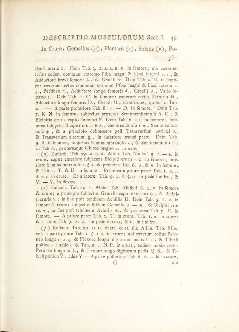 H*4 / In Crure * Gemellus (jij, Plantaris (V) 9 Soleus Q>) ^ Po- pli- liacl interni x. Dein Tab. 5. &. a, a. e, 0. in femore; ubi ceterum rectus eodem communi excremo Pfote magni & Iliaci interni c., & Adductore brevi femoris 4-*> & Gracili Dein Tab. a. n. in femo- re; cteterum tedus communi extremo Pfose magni ck Iliaci interni z. v., Pedineo r., Ad d udo re longo femoris a., Gracili A., Vado in- terno 2. Dein Tab. i. C. in femore; caeterum tedus Sartorio H., Addudore longo femoris D., Gracili B., caeterisque, quibus in Tab, 2. A parce poderiore Tab. 8. cr. D. in femore. Dein Tab. 7. K, N. in femore., fubjedus prseterea Semimembranofo A. C., & Bicipicis cruris capiti breviori P. Dein Tab. 6, g. e. in femore; prae- terea fubjedus Bicipiti cruris 0. A,, Semitendinofo o.-t., Semimembra- nofo 4 , & a principio delitescens pod Transverfum perinaei h.? & Transverfum alterum g., in inferiore trunci parte. Dein Tab, 5. 0. in femore; fubjedus Semimembranofo v., & Semitendinofo n., ut Tab. 6., pnetereaque Gluteo magno y. in nate. (/;) Eudach. Tab. 29. a. ©. k. Albin. Tab. Mufcul. 5. a. — in crure, capite exteriore fubjacens Bicipiti cruris r.4. in femore; inte- riore Semimembranofo v, g. 0. & -praeterea Tab. 6. a.(& e. in femore; & Tab. 7. T. & U. in femore, Prseterea a priore parte Tab. r. y. cf'. V. V. in crure. Et a latere. Tab. 9. 4. X, 4. e. in pede finidro, & V. — Y. in dextro. (0) Eudach. Tab. 29. r. Albin. Tab. Mufcul. 6. 2. <f>. in femore & crure; a principio fubjedus Gemelli capiti exteriori ©., & Bicipi- ti cruris a.; in fine pod tendinem Achillis D. Dein Tab. 5. r. c. in femore & crure; fubjedus ibidem Gemello a. — & Bicipiti cru- ris t., in fine pod tendinem Achillis , & praeterea Tab. 7. V. in femore, — A priore parte Tab. e. T. in crure, Tab. 1. in crure ; & a latere Tab 9. a. h. in pede dextro, & n. in finidro. (p) Eudach. Tab. 29. n. n. dextr. & n. fin. Albin. Tab. Mus- cul. a parte priore Tab. i. £. g. ». in crure; ubi caeterum tedus Pero- neo longo 0. 7T. & Flexore longo digitorum pedis 0. G, & Tibiali poftico a.: adde r. & Tab. 2. w. N. P. in crure, eodem modo tedus Peroneo longo 4.4o & Flexore longo digitorum pedis Q. S., & Ti- biali podico V.: adde Y. — A parte poderiore Tab, 6. n, — E in crure 9 G ubi /