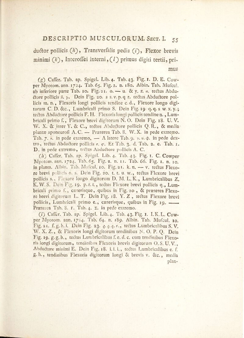 ductor pollicis (ti) , Transverfalis pedis (T), Flexor brevis minimi (£), Interoffei interni,(/) primus digiti tertii, pri- mus (g) Cafler. Tab. ap. Spigel. Lib. 4. Tab. 43. Fig. 1. D. E. Cow- per Myotom. anm 1724. Tab, 65. Fig. 2. n. 180. Albin. Tab. Mufcul ab inferiore parte Tab. 10. Fig. 21. g. — u* & y. z. a. tedtus Abdu- dtore pollicis ,3. y. Dein Fig. 20, s s. v. p, q r. tedtus Abdudtore pol- licis rn. n,, Flexoris longi pollicis tendine c.d., Flexore longo digi- torum C. D. &c., Lumbricali primo S. Dein Fig. 19. q. q, s w* x. y.; tectus Abductore pollicis F. LL Flexoris longi pollicis tendine n., Lum- bricali primo f., Flexore brevi digitorum N. O. Dein Fig. 18, U. V. W. X. & inter Y. & C., tedtus Abdudtore pollicis Q.R., & media plantas aponeurofl A. C. — Prreterea Tab. 8. W. X. in pede extremo,. Tab. 7. ». in pede extremo, — A latere Tab. 9. v.v.cp. in pede dex- tro, tedtus Abdudtore pollicis <r. «r- Et Tab. 3. d. Tab. 2. e. Tab. 1. D. in pede extremo, tedtus Abdudtore pollicis A. C. ([h) Cafler. Tab. ap. Spigel. Lib. 4. Tab. 43. Fig. 1. C, Cowper Myotom. ann. 1724. Tab. 65. Fig. 2. n. n. Tab. 66. Fig. 1. n. 10. in planta. Albin. Tab. Mufcul. 10. Fig. 21. k. n. — v. tedtus Flexo- re brevi pollicis o. s. Dem Fig. 20. t. t. u. w., tedtus Flexore brevi pollicis s., Flexore longo digitorum D. M. L. K., Lumbricalibus Z« K. W. S. Dein Fig. 19. p. r. t., tedtus Flexore brevi pollicis q.. Lum- bricali primo f., c&terisque, quibus in Fig. 20 , & prseterea Flexo- re brevi digitorum L. T. Dein Fig. 18. Y. Z , tedtus Flexore brevi pollicis, Lumbricali primo e., cseterisque* quibus in Fig. 19. . Praeterea Tab. 8. r. Tab. 4. 2. in pede extremo. (O Cafler. Tab. ap. Spigel Lib. 4. Tab. 43. Fig. 1, I. K.L. Cow- per Myotom. ann. 1724. Tab. 64. n. 189. Albin. Tab. Mufcul. 10. Fig. 2 i. f. g. h. i. Dein Fig. 23. £. 5. <r. , tedtus Lumbricalibus S. V. W. X. Z., & Flexoris longi digitorum tendinibus N. O. P. Q. Dein Fig, 19. g. g. b., tectus Lumbricalibus f. e. d, c. cum tendinibus Flexo- ris longi digitorum, tendinibus Flexoris brevis digitorum O. S. U.V., Abdudtore minimi E. Dein Fig. 18. i.i. i., tedtus Lumbricalibus e, f. g. h,9 tendinibus Flexoris digitorum longi & brevis v. &c., media plan*