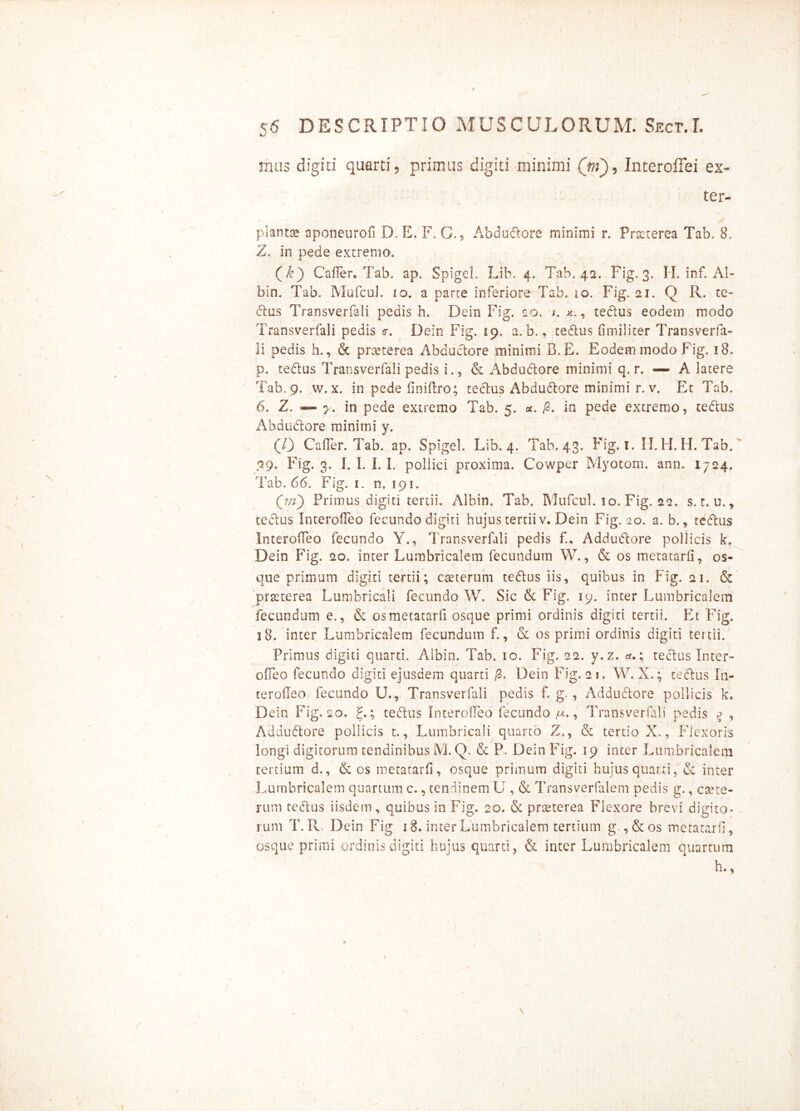mus digiti quarti ? primus digiti minimi (tri)9 Interoffei ex- ter- p i antae aponeurofi D. E. F. C., Abdudore minimi r. Prscterea Tab. 8, Z. in pede extremo. (£) Cafler. Tab. ap. Spigel. Lib. 4. Tab. 42. Fig. 3. II. inf. Al- bin. Tab. Mufcul. 10. a parte inferiore Tab. 10. Fig. 21. Q R. te- dus Transverfali pedis h. Dein Fig. 20. 1. , tedus eodem modo Transverfali pedis <r. Dein Fig. 19. a. b., tedus fimiliter Transverfa- li pedis h., & prxterea Abductore minimi B.E. Eodem modo Fig. 18. p. tedus Transverfali pedis i., & Abdudore minimi q, r. — A latere Tab. 9. w. x. in pede finiftro; tedus Abdudore minimi r. v. Et Tab. 6. Z. — y. in pede extremo Tab. 5. fi. in pede extremo, tedus Abdudore minimi y. (0 Caffer. Tab. ap. Spigel. Lib. 4. Tab. 43, Fig. 1. II. H. H. Tab. 09. Fig. 3. I. I. I. I. pollici proxima. Cowper Myotom. ann. 1724. Tab. 66. Fig. 1. n. 191. Primus digiti tertii. Albin. Tab. Mufcul. io. Fig. 22. s. t. u., tedus Interofleo fecundo digiti hujus tertii v. Dein Fig. 20. a. b., tedus InterofTeo fecundo Y., Transverfali pedis f., Addudore pollicis k. Dein Fig. 20. inter Lumbricalem fecundum W., & os metatarfi, os- que primum digiti tertii; caeterum tedus iis, quibus in Fig. 21. & praeterea Lumbricali fecundo W. Sic & Fig. 19. inter Lumbricalem fecundum e., & os metatarfi osque primi ordinis digiti tertii. Et Fig. 18. inter Lumbricalem fecundum f., & os primi ordinis digiti tertii. Primus digiti quarti. Albin. Tab. 10. Fig. 22. y.z. a.; tedus Inter- dico fecundo digiti ejusdem quarti /3, Dein Fig. 21. W. X.; tedus In- ter odeo fecundo U., Transverfali pedis f. g. , Addudore pollicis k. Dein Fig. 20. £.; tedus InterofTeo fecundo ju., Transverfali pedis $ , Addudore pollicis t., Lumbricali quarto Z., & tertio X., Flexoris longi digitorum tendinibus M. Q. & P. Dein Fig. 19 inter Lumbricalem tertium d., & os metatarfi, osque primum digiti hujus quarti, & inter Lumbricalem quartum c., tendinem U , & Transverfalem pedis g., cete- rum tedus iisdem, quibus in Fig. 20. & praeterea Flexore brevi digito- rum T. R. Dein Fig 18. inter Lumbricalem tertium g.,&os metatarfi, osque primi ordinis digiti hujus quarti, & inter Lumbricalem quartum h., N \