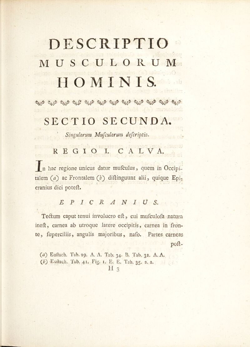 DESCRIPTIO ^ T  f ; , • '/■ ; M USC-ULORU M H OMINIS. %# %# %# %* SECTIO SECUNDA. Singulorum Mufculorum deferiptio. REGIO I. CALVA, Tn hac regione unicus datur mufculus, quem in Occipi- talem (a) ac Frontalem (F) diftinguunt alii, quique Epi- - • • J '■ - I ■ • - - cranius dici poteft. EPICRANIUS. v Tedum caput tenui involucro eft, cui mufculofa natura ineft, carnea ab utroque latere occipitis, carnea in fron- te, fuperciliis, angulis majoribus, nafo. Partes carneas poft- («) Euftach. Tab. 29. A. A. Tab. 34. B. Tab. 31. A. A. (b) Euftach. Tab. 41. Fig. 1. E. E. Tab. 35. a. a,