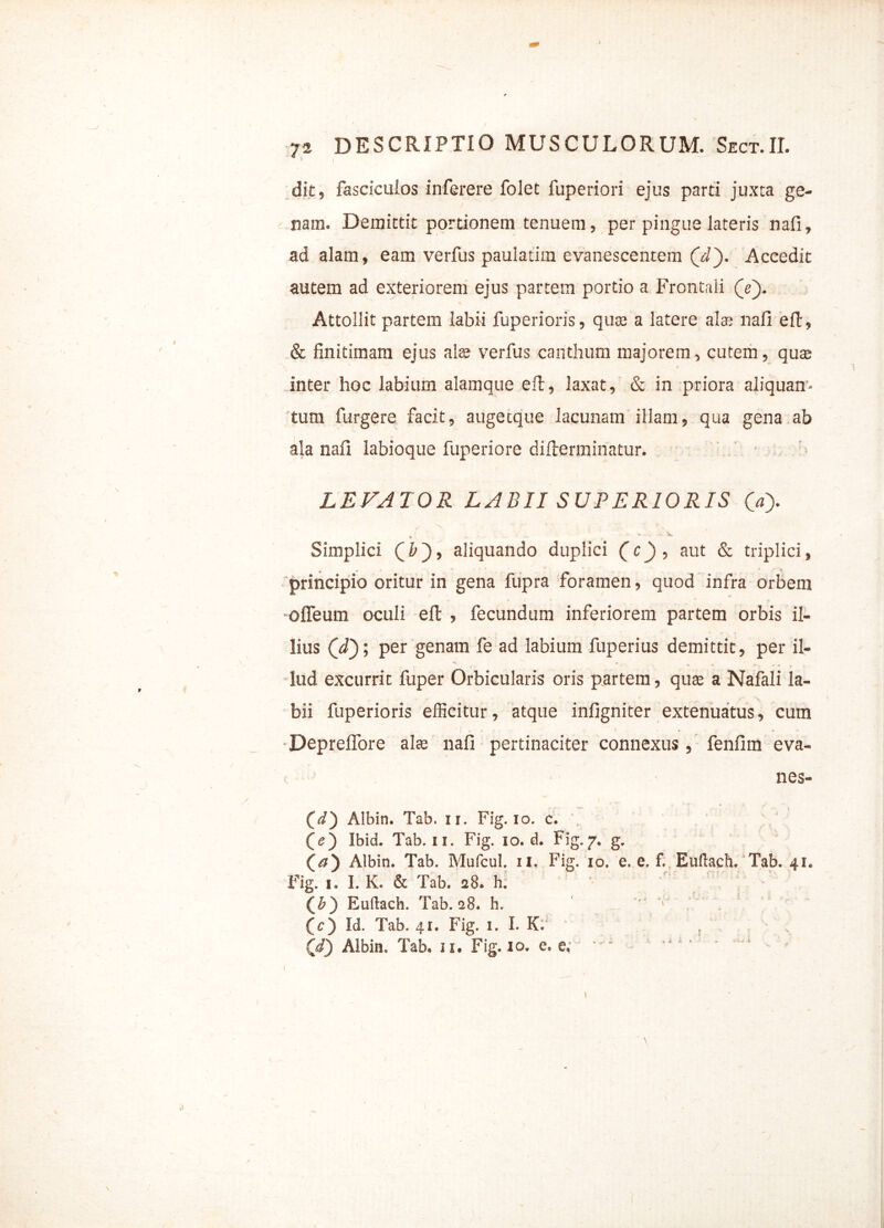 dit, fasciculos inferere folet fuperiori ejus parti juxta ge- nam. Demittit portionem tenuem, per pingue lateris nafi» ad alam, eam verfus paulatim evanescentem (i). Accedit autem ad exteriorem ejus partem portio a Frontali (V). Attollit partem labii fuperioris, quse a latere alae nafi eft, & finitimam ejus ate verfus canthum majorem, cutem, quae inter hoc labium alamque eft, laxat, & in priora aliquan- tum furgere facit, auge eque lacunam illam, qua gena ab ala nafi labioque fuperiore difierminatur. LEVATOR LABII SUPERIORIS 0> * '. - . -. __ ' Simplici Qb'), aliquando duplici (c), aut & triplici, principio oritur in gena fupra foramen, quod infra orbem ofleum oculi eft , fecundum inferiorem partem orbis il- lius (_d~); per genam fe ad labium fuperius demittit, per il- lud excurrit fuper Orbicularis oris partem, qute a Nafali la- bii fuperioris efficitur, atque infigniter extenuatus, cum I , ■ - - - Depreflore alas nafi pertinaciter connexus, fenfim eva- nes- ci) Albin. Tab. ir. Fig. io. c. (e) Ibid. Tab. ii. Fig. io. d. Fig. 7. g. (a) Albin. Tab. Mufcul. 11. Fig. 10. e, e. f. Euftach. Tab. 41« Fig. 1. I. K. & Tab. 28. h. (£) Euflach. Tab. 28. h. (c) Id. Tab. 41. Fig. 1. I. K. (i) Albin. Tab. 11. Fig. io. e. e.
