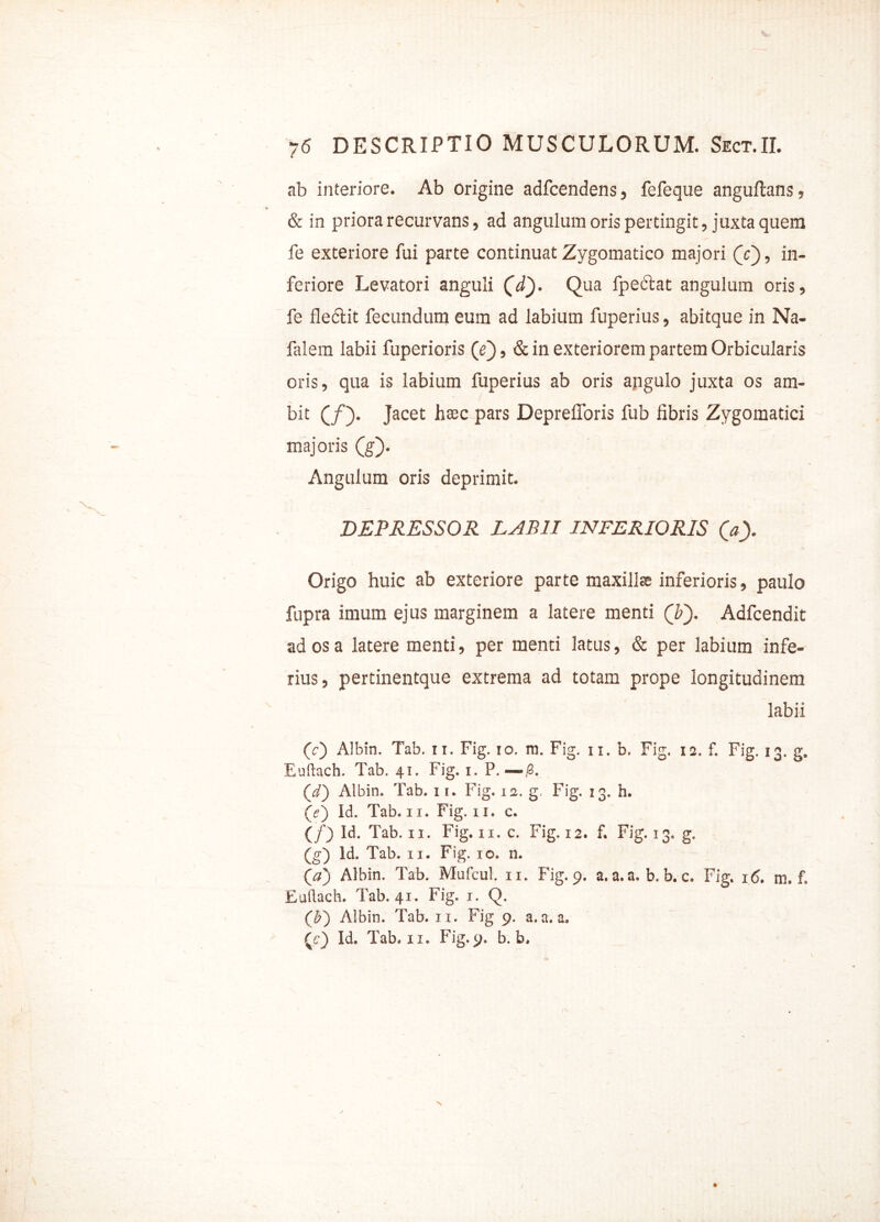 ab interiore. Ab origine adfcendens, fefeque anguftans, & in priora recurvans, ad angulum oris pertingit, juxta quem fe exteriore fui parte continuat Zygomatico majori (c), in- feriore Levatori anguli (ff). Qua fpeclat angulum oris, fe fledlit fecundum eum ad labium fuperius, abitque in Na- falem labii fuperioris (e~), & in exteriorem partem Orbicularis oris, qua is labium fuperius ab oris angulo juxta os am- bit (/). Jacet htec pars DeprelToris fub libris Zygomatici majoris (g). Angulum oris deprimit. DEPRESSOR LABII INFERIORIS 0> Origo huic ab exteriore parte maxillas inferioris, paulo fupra imum ejus marginem a latere menti (b'). Adfcendit ad os a latere menti, per menti latus, & per labium infe- rius, pertinentque extrema ad totam prope longitudinem labii (c) Albin. Tab. ii. Fig. io. ra. Fig. ii. b. Fig. 12. f. Fig. 13. g. Euftach. Tab. 41. Fig. 1. P. —/3. (d) Albin. Tab. 11. Fig. 11. g. Fig. 13. h. (>) Id. Tab. 11. Fig. 11. c. (/) Id. Tab. 11. Fig. 11. c. Fig. 12. f. Fig. 13. g. (g) ld. Tab. 11. Fig. 10. n. («) Albin. Tab. Mufcul. 11. Fig. 9. a. a. a. b. b. c. Fig. 16. m. f. Euftach. Tab. 41. Fig. 1. Q. (b') Albin. Tab. 11. Fig 9. a.a.a. (e) Id. Tab. 11. Fig. 9. b. b.