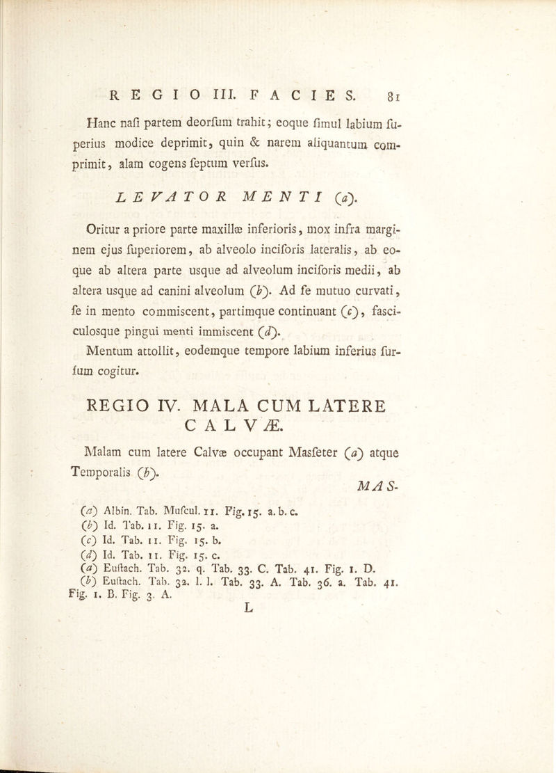 Hanc nafi partem deorfum trahit; eoque fimul labium fu- perius modice deprimit, quin & narem aliquantum com- primit , alam cogens feptum verfus. L E V A T O R MENTI (a). Oritur a priore parte maxillae inferioris, mox infra margi- nem ejus fuperiorem, ab alveolo inciforis lateralis, ab eo- que ab altera parte usque ad alveolum inciforis medii, ab altera usque ad canini alveolum (by Ad fe mutuo curvati, fe in mento commiscent, partimque continuant (V), fasci- culosque pingui menti immiscent (ji). Mentum attollit, eodemque tempore labium inferius fur- lum cogitur. REGIO IV. MALA CUM LATERE CALViE. Malam cum latere Calvte occupant Masfeter (d) atque Temporalis (i>\ MAS- (a~) Albin. Tab. Mufcul. ii. Fig. 15. a. b. c. (£) Id. Tab. 11. Fig. 15. a. (c) Id. Tab. 11. Fig. 15. b. (i) Id. Tab. 11. Fig. 15. c. 00 Euilach. Tab. 32. q. Tab. 33. C. Tab. 41. Fig. i. D. (*) Euilach. Tab. 32. 1. 1. Tab. 33. A. Tab. 26. a. Tab. 41. Fig. 1. B. Fig. 3. A. L