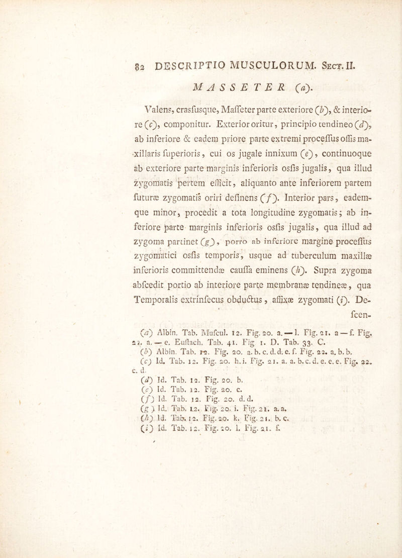 M A $ S E TER (a). Valens, crasfusque, Maffeter parte exteriore (¥), & interio- re (V), componitur. Exterior oritur, principio tendineo (yf), ab inferiore & eadem priore parte extremi proceflus offis ma- xillaris fuperioris, cui os jugale innixum (f), continuoque ab exteriore parte marginis inferioris osfis jugalis, qua illud zygomatis pertem efficit, aliquanto ante inferiorem partem futura zygomatis oriri delinens (j/). Interior pars, eadem- que minor, procedit a tota longitudine zygomatis; ab in- feriore parte- marginis inferioris osfis jugalis, qua illud ad zygoma partinet (jf), porro ab inferiore margine procefilis * «** * f • zygomatici osfis temporis, usque ad tuberculum maxillas inferioris committendae caufia eminens (h'). Supra zygoma abfcedit portio ab interiore parte membranae tendineas, qua Temporalis extrinfecus obdudtus, affixae zygomati (i). De- 1 fcen- (j£t) Albin. Tab. Mufcul. 12. Fig. 20. a. — 1. Fig. 21. a — f. Fig, s.-2. a. •—e. Euftach. Tab. 41. Fig 1. D. Tab. 33. C. (A) Albin, Tab. rs. Fig. 20. a. b. c. d.d. e. £ Fig. 22. a. b. b. (c) Id. Tab. 12. Fig. 20. h.i. Fig. 21. a. a. b.c. d. e. e. e, Fig. 22. c. a. * ; ' ■ (d) Id. Tab. 12. Fig. 20. b. (e) Id. Tab. 12. Fig. 20. c. (f) Id. Tab. 12. Fig. 20. d.d. (g } Id. Tab. 1.2. Fig. 20. i. Fig. 21. a. a. (di) Id. Tab» f2. Fig» 20. k. Fig. 21. b. c. (i) Id. Tab. 12. Fig. 20. 1. Fig. 21. £