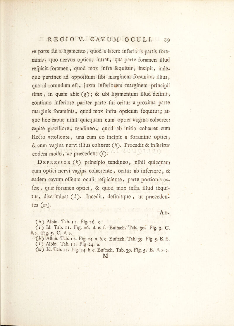rs parte fui a ligamento, quod a latere inferioris partis fora- minis , quo nervus opticus intrat, qua parte foramen illud refpicit foramen, quod mox infra fequitur, incipit, inde- que pertinet ad oppofifum fibi marginem foraminis illius, qua id rotundum eft, juxta inferiorem marginem principii rima:, in quam abit QQ; & ubi ligamentum illud definit, continuo inferiore pariter parte fui oritur a proxima parte marginis foraminis, quod mox infra opticum fequitur; at- que hoc caput nihil quicquam cum optici vagina cohaeret: *» capite graciliore, tendineo, quod ab initio cohaeret cum Recto attollente, una cum eo incipit a foramine optici, & cum vagina nervi illius cohaeret (7f). Procedit & inferitur •* t  Y •• ir •». r t- eodem modo, ac procedens (T). - Depressor ('k) principio tendineo, nihil quicquam cum optici nervi vagina cohaerente, oritur ab inferiore, & eadem cavum ofleum oculi refpiciente, parte portionis os- feae, qme foramen optici, & quod mox infra illud fequi- tur, discriminat £/). Incedit, definitque , ut praeceden- tes 0«}. Ad- Albin. Tab. 11. Fig. 16. c. (O W. Tab. 11. Fig. 26. d. e. f. Eullach. Tab. 30. Fig. 3. C. $.y. Fig. 5. C. /2. y. (&) Albin. Tab. 11. Fig.24. a. b.c. Eullach. Tab. 39. Fig. 5. E. E. CO Albin. Tab. 11. Fig 24. a. OO Id. Tab. 11. Fig. 24. b.c. Eullach. Tab.39. Fig. 5. E. /3. j.;. M