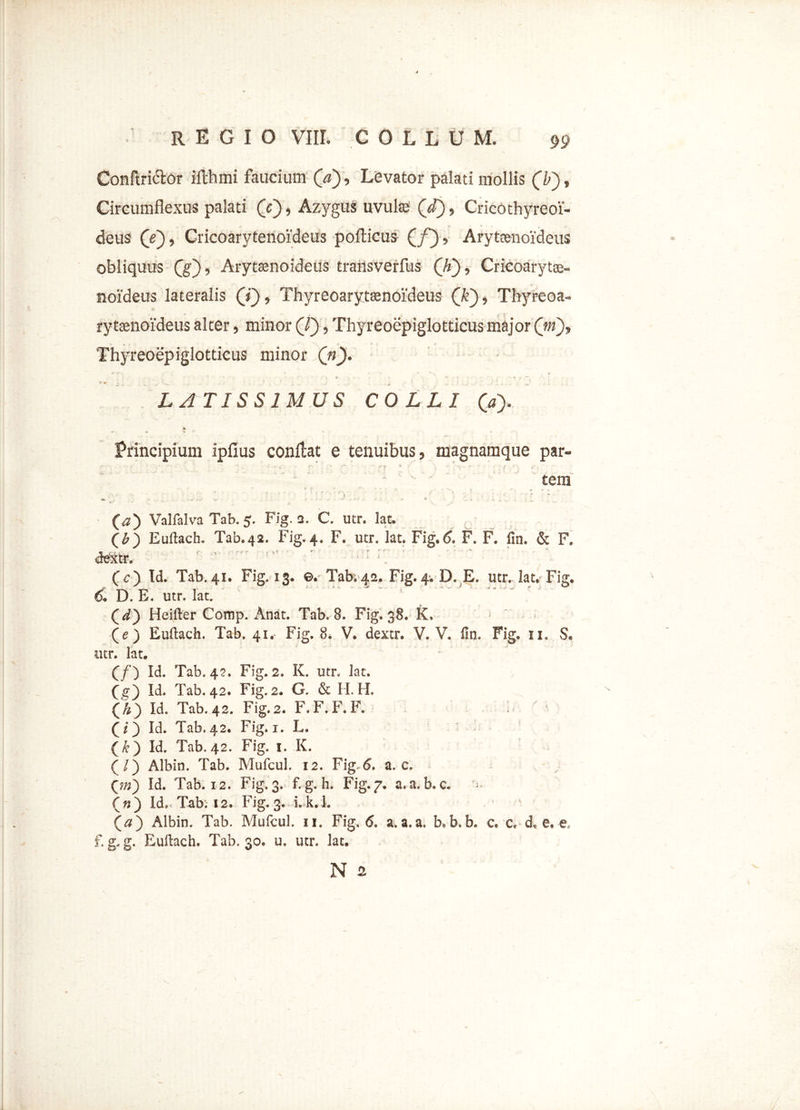 Conftriclor ifthmi faucium (a). Levator palati mollis (b), Circumflexus palati (e), Azygus uvulse f d'), CricOthyreoi- deus (e~), Cricoarytenoideus porticus (/), Arytenoideus obliquus Qg), Arytamoideus traiisverfus (Ji), Cricoaryte- noideus lateralis (7), Thyreoarytsenoideus (T), Thyreoa- rytenoideus alter, minor (7), Thyreoepiglotticus major (m), Thyreoepiglotticus minor (n). LATISSIMUS COLLI (» ¥ Principium ipfius conrtat e tenuibus, magnamque par- - - tera . ■ ■ *.*. . * ■ - 00 Valfalva Tab. 5. Fig. 2. C. utr. lat. Euftach. Tab. 42. Fig. 4. F. utr. lat. Fig.6. F. F. fin. & F. ctextr. fc) Id. Tab. 41. Fig. 13. ©. Tab. 42. Fig. 4. IX E. utr. lat. Fig. 6* D. E. utr. lat. (y) Heifter Comp. Anat. Tab. 8. Fig. 38. K. (e) Euftach. Tab. 41.- Fig. 8. V. dextr. V. V. fin. Fig. 11. $. utr. lat. (/) Id. Tab. 42. Fig. 2. K. utr. lat. (g) Id. Tab. 42. Fig.2. G. & H. H. (£) Id. Tab. 42. Fig.2. F. F. F. F. i (?) Id. Tab.42. Fig. 1. L. (&) Id. Tab. 42. Fig. 1. K. (/) Albin. Tab. Mufcul. 12. Fig. 6, a. c. Qn) Id. Tab. 12. Fig. 3. f. g. h. Fig. 7. a.a. b. c« (n) Id„Tab. i2. Fig. 3. i.k.l. (^) Albin. Tab. Mufcul. 11. Fig. <5. a.a.a. b.b.k c» c. d. e, et f. g. g. Euflach. Tab. 30. u. utr. lat, N a