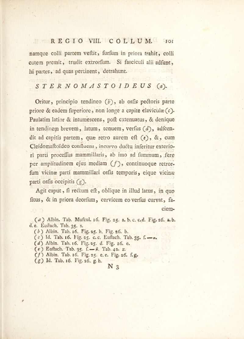 namque colli partem vellit, furfum in priora trahit, colli cutem premit, trudit extrorfum. Si fasciculi aliiadfunt, hi partes, ad quas pertinent, detrahunt. f « -» , ' | • * ■' 't •* • S TER NOMAS T O 1 D E U S 0> Oritur, principio tendineo ('b'), ab osfis pedoris parte priore & eadem fuperiore, non longe a capite claviculas (V). Paulatim latior & intumescens, poli extenuatus, & denique in tendinern brevem, latum, tenuem, verius (ji)t adfcen- dit ad capitis partem, quas retro aurem eft (e), &, cum •<, r '  . • j '• ..*« ,i s > Cleidomaftoideo confluens, incurvo diidlu inferitur exterio* *: l • * • - v - ‘ x ri parti proceffus mammillaris, ab imo ad fummum, .fere per amplitudinem ejus mediam (/), continuoque retror* fum vicinas parti mammillari osfis temporis, ei que vicinas parti osfis occipitis (g). • ' : « V ' ‘ * Agit caput, fi rectum eft, oblique in illud latus, in quo fitus, & in priora deorfum, cervicem eo verfus curvat, fa- ciem* (a') Albin. Tab. Mufcul 16. Fig. 25. a. b. c, c,d. Fig. 2.6, a.b. d. e. Eudach. Tab. 35. s. (£) Albin. Tab. 16. Fig. 25. b. Fig. 26. b. (c) Id. Tab. 16. Fig. 25. c. c. Euftacb. Tab, 35. f. — «u. (d) Albin. Tab. i6. Fig. 25. d. Fig. 26. e. (e) Eoftach. Tab. 35. f, —Tab. 42. z. CO Albin. Tab. 16. Fig. 25. e. e. Fig. 2<J. f.g* (g) Id. Tab. 16. Fig. 26. g< E . N S f