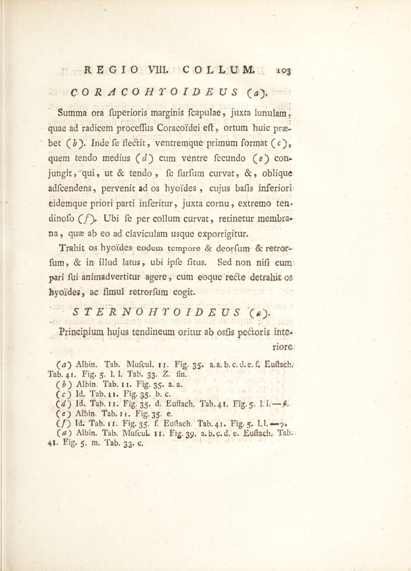 % CORACOHTO IDE U S (ay Summa ora fuperioris marginis fcapulae, juxta lunulam, quae ad radicem proceffus Coracoidei eft, ortum huic pro- bet (&). Inde fe fleftit, ventremque primum format (e), quem tendo medius (J) cum ventre fecundo (e) con- jungit, qui, ut & tendo, fe furfum curvat, &, oblique adfcendens, pervenit ad os hyoides, cujus balls inferiori eidemque priori parti inferitur, juxta cornu, extremo ten- dinofo (fy Ubi fe per collum curvat, retinetur membra- na, quae ab eo ad claviculam usque exporrigitur. Trahit os hyoides eodem tempore & deorfum & retror- ; > , . .4 ^ - - ■ ’ ; . * fum, & in illud latus, ubi ipfe litus. Sed non nili cum' pari fui animadvertitur agere, cum eoque recle detrahit os hyoides, ac fimul retrorfum cogit. S T E R N 0 H Y 0 I D E U S '(» t i Jil i. • 1 i. J • - •* - • : • 11 ' . Principium hujus tendineum oritur ab osfis pedloris in te- X■ V t V riore (j) Albin. Tab. Mufcul. n. Fig. 35. a.a. b.c. d.e.f. Euftach; Tab. 41. Fig, 5. 1. I. Tab. 33* 2. fin. (£) Albin. Tab. n. Fig. 35, a. a* (V) Id. Tab, 11. Fig. 35. b. c. (*/) Id. Tab. 11. Fig. 35. d, Euftach. Tab.41. Fig.5. I.L — fi, ( e ) Albin, Tab. u. Fig. 35. e. (/) Id* Tab. it. Fig. 33. f. Euilach Tab. 41. Fig, 5. 1.1. (a ) Albin. Tab, MufcuL 11, Fig. 39. a.b.c.d, e. EuftacL Tab* 41. Fig. 5. m. Tab, 33. c. *
