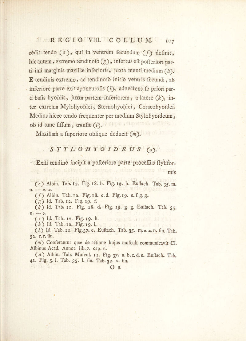 cedit tendo (e), qui in ventrem fecundum (f) definit, hic autem, extremo tendinofo (g), infertus eft pofteriori par- ti imi marginis maxillte inferioris, juxta menti medium Qi). E tendinis extremo, ac tendinofo initio ventris fecundi, ab inferiore parte exit aponeurofis (i), adnectens fe priori par- ti bafis hyoidis, juxta partem inferiorem, a latere (k), in- ter extrema Mylohyoidei, Sternohyoidei, Coracohyoidei. Medius hicce tendo frequenter per medium Stylohyoideum, ob id tunc filium, tranfit (7). Maxillam a fuperiore oblique deducit (jn). - ST TLOHroiD E US (V). • % \ v . . w Exili tendine incipit a pofleriore parte procefius ftylifor- x  . =* ► - ~ T * .4* '\ % j? • * mk (e) Albin, Tab, 12, Fig. 18. b. Fig. 19. b, Euftacli. Tab. 35, m. 11, —- ct. a. (/) Albin. Tab. T2. Fig, 18. c. d. Fig. 19. e. f. g. g6 (g) Id. Tab. 12. Fig. 19. f. (/*) Id, Tab. 12, Fig, 18. d. Fig. 19, g, g. Euftach. Tab, 35, n. — y, (2) Id. Tab. 12. Fig, 19. h. Id. Tab. 12. Fig. 19. i. (/) Id. Tab. 11. Fig.37. e. Euftach, Tab. 35. ra.a.se.n. Hn. Tab* 32, r. r. fm. (m) Conferantur quae de a&ione hujus mufculi coramunicavit CL Albinus Acad. Annot. lib.7. capf 1. (a) Albin. Tab. Mufcul. 11. Fig. 37. a. b.c.d.e. Euftach. Tab, 41, Fig. 5. i. Tab. 35. 1. fin. Tab. 32. s. fin. Os