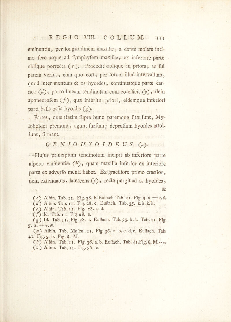 REGIO VIII. C O L L U M. eminentia, per longitudinem maxillas, a dente molare inti- mo fere usque ad fymphyfem maxillas, ex inferiore parte oblique porrecta (c}. Procedit oblique in priora, ac fui parem verius, cum quo coit, per totum illud intervallum, quod inter mentum & os hyoides, continuatque parte car- nea Qd); porro lineam tendinofam cum eo efficit (e), dein aponeurofem (jQ, quas inferatur priori, eidemque,inferiori parti bafs oslls hyoidis (g). Partes, quas ftatirn fupra hunc parem que fitas funt, My- lohoidei premunt, agunt furfum; depreffum hyoides attol- lunt , firmant. GENIOHYOIDEUS (» Hujus principium tendinofum incipit ab inferiore parte afperas eminentis (F), quam maxilla inferior ex interiore parte ex adverfo menti habet. Ex graciliore primo crasfior, dein extenuatus, latescens (c), recta pergit ad os hyoides, ■ -r. & fcj) Albin. Tab. 11. Fig. 38. b.Euitach Tab. 41. Fig. 5. a. «./8. (i) A<bin. Tab. ci. Fig. 28. c. Euitach. Tab. 35. k. k. k. k. {e) Albin. Tab. 11. Fig. 28. c d. (/) Id. Tab. 11. Fig 28. e. (g) Id. Tab. 11. Fig. 28. f, Euitach. Tab.35. k.k. Tab.41. Fig, 5» a. — y. eP. Qa') Albin. Tab. Mufcul. ii. Fig. 36. a. b* c. d.e. Euflach. Tak 41. Fig. 5. b. Fig. S. M. O) Albin. Tab. M. Fig. 36» a. b. Euilack Tab. 41.Fig. 8« M,—«»w