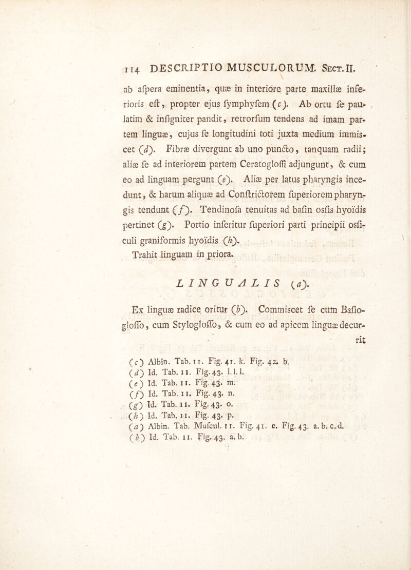 ab alpera eminentia, quae in interiore parte maxillae infe- rioris eft, propter ejus fymphyfem (c). Abortu fe pau- la tim & infigniter pandit, retrorfum tendens ad imam par- tem linguae, cujus fe longitudini toti juxta medium immis- cet (jP). Fibrae divergunt ab uno pun&o, tanquam radii; aliae fe ad interiorem partem Ceratoglofli adjungunt, & cum eo ad linguam pergunt (V). Aliae per latus pharyngis ince- dunt , & harum aliquae ad Conftridtorem fuperiorem pharyn- gis tendunt (f~). Tendinofa tenuitas ad bafin osfis hyoidis pertinet (j). Portio inferitur fuperiori parti principii osfi- culi graniformis hyoidis Qt). ■ Trahit linguam in priora. L I N G U A L I S (4). Ex linguae radice oritur (F). Commiscet fe cum Bafio- gloffo, cum Stylogloffo, & cum eo ad apicem linguae decur- ■ rit (c) Albin. Tab. 11. Fig. 41. k. Fig. 42. b. ' (d') Id. Tab. 11. Fig. 43. 1.1.1. (e ) Id. Tab. 11. Fig. 43. m. (/) Id. Tab. 11. Fig. 43. n. (g) Id. Tab. n. Fig. 43. o. (A) Id. Tab. u. Fig. 43. p. (<s) Albin. Tab. Mufcul. 11. Fig. 41. e. Fig. 43. a. b. c.d. ( b ') Id. Tab. 11. Fig, 43. a. b.