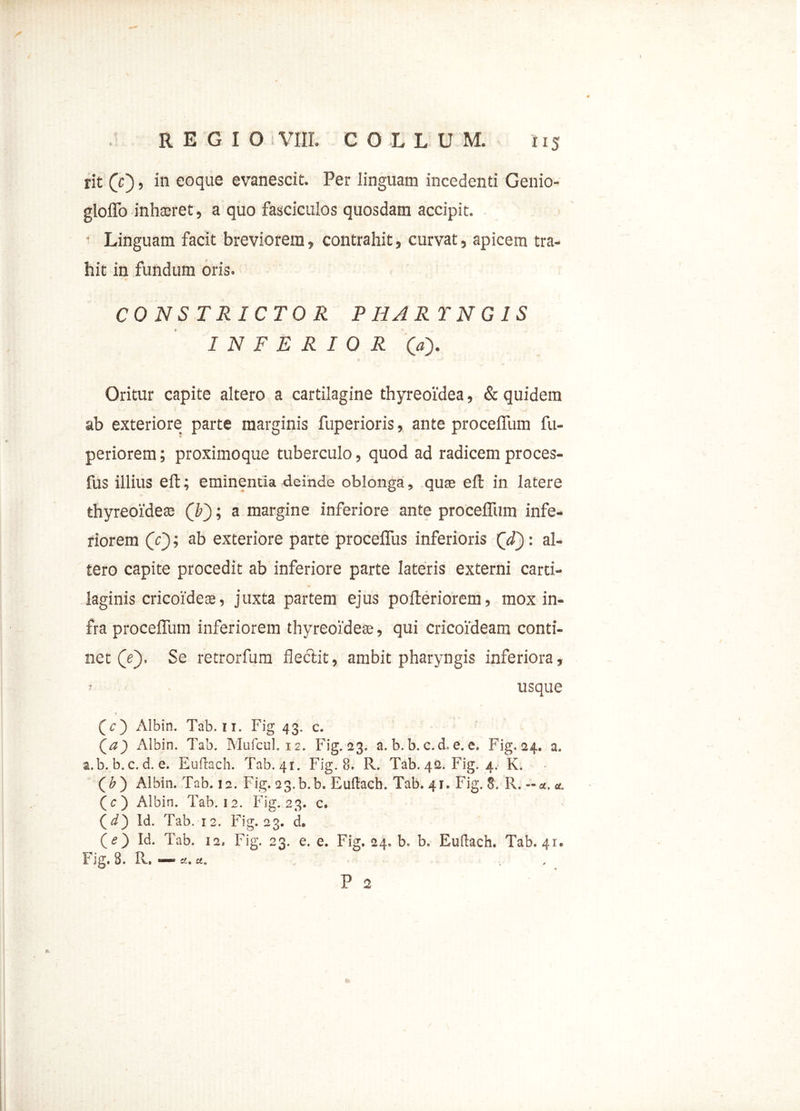 rit (e), in eoque evanescit. Per linguam incedenti Genio- glolfo inhaeret, a quo fasciculos quosdam accipit. Linguam facit breviorem» contrahit, curvat, apicem tra- hit in fundum oris. CONSTRICTOR PHARTNG1S INFERIOR (a). Oritur capite altero a cartilagine thyreoidea, & quidem ab exteriore parte marginis fuperioris, ante procelfum fu- periorem; proximoque tuberculo, quod ad radicem proces- fus illius eft; eminentia deinde oblonga, quas efl in latere thyreoideae (b~); a margine inferiore ante procelfum infe- riorem (c~) > ab exteriore parte procelfus inferioris (V) '• al- tero capite procedit ab inferiore parte lateris externi carti- laginis cricoideas, juxta partem ejus pofteriorem, mox in- fra procelfum inferiorem thyreoideae, qui cricoideam conti- net (e)' Se retrorfum flectit, ambit pharyngis inferiora, ■ usque (c) Albin. Tab. ii. Fig 43. c. Qa~) Albin. Tab. Mufcul. 12. Fig. 23. a. b.b.c.d.e.e. Fig.24. a- a.b.b.c.d.e. Euftach. Tab. 41. Fig. 8. R. Tab. 42. Fig. 4. K. (A) Albin. Tab. 12. Fig.as.b.b. Euftach. Tab. 41. Fig. 8. R. — a. a. (c) Albin. Tab. 12. Fig. 23. c. (^) Id. Tab. 12. Fig. 23. d. (O Id. Tab. 12. Fig. 23. e. e. Fig. 24. b. b. Euftach. Tab. 41. Fig. 8. R. — a. a. . . P 2