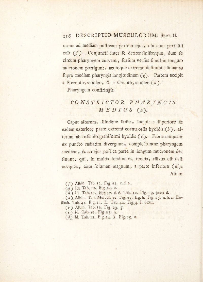 usque ad mediam poflicam partem ejus, ubi cum pari fui coit (/_)• Conjumfli inter fe dexter finifleruue, dum fe circum pharyngem curvant, furfum verfus fimul in longum mucronem porrigunt, acutoque extremo delinunt aliquanto fupra mediam pharyngis longitudinem (g~). Partem accipit a Sternothyreoideo, & a Cricothyreoideo (_h Pharyngem conftringit. CONSTRICTOR PHARYNGIS MEDIUS (_ay Caput alterum, Hludque latius, incipit a fuperiore & eadem exteriore parte extremi cornu osfis hyoidis (/>), al- terum ab osficulo graniformi hyoidis Qc'). Fibrae tanquam- ex pun<5to radiarim divergunt, complecluntur pharyngem * • mediam, & ab ejus poftica parte in longum mucronem de- finunt, qui, in multis tendineus, tenuis, affixus effc osll occipitis,, ante foramen magnum, a parte inferiore (i)*. Alium (f') Albin. Tab. ?2. Fig 24, c.d. e.. Cg) Idi Tab. 12. Fig, 24. c. (h) Id. Tab» 11. Figi 47. d. d. Tab, 12, Fig..23. juxta d. Qay Albin. Tab. MulcuL 12. Fig. 23. h. Fig. 25. a, h. c. Eoi-»- ftacb. Tab. 41. Fig. ii. L. Tab. 42. Eig.4. L dcxtr. (&) Albin. Tab. 12. Fig. 23. g* ( cId. Tab. 12., Fig. 23. b; Qd) Id. Tab. 12. Fig. 24. k. Fig. 25. i /