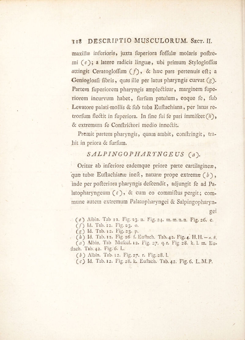 maxilla; inferioris, juxta fuperiora foflul® molaris poltre- mi (e); a latere radicis lingu®, ubi primum Stylogloflus attingit CeratoglolTum (f), & h®c pars pertenuis eft; a •Genioglosfi fibris, quas ille per latus pharyngis curvat (g). Partem fuperiorem pharyngis amplectitur, marginem fupe- riorem incurvum habet, furfum patulum, eoque fe, fub Levatore palati mollis &fub tuba Euflachiana, per latus re- trorfum fleftit in fuperiora. In fine fui fe pari immifcet (h'), & extremum fe Conftrictori medio innectit. Premit partem pharyngis, quam ambit, confringit, tra- hit in priora & furfum. SALPINGOPHARYNGEUS O). Oritur ab inferiore eademque priore parte cartilagine®, quee tub® Euftachian® ineft, natur® prope extrem® (b , inde per pofteriora pharyngis defcendit, adjungit fe ad Pa- » latopharyngeum & cum eo commiftus pergit; com- mune autem extremum Palatopharyngei & Salpingopharyn- gei (O Aibin. Tab 12. Fig. 23. n. Fig. 24. m. m. n.n. Fig. 26. c, (/) Id, Tab. 12. Fig. 23. o. (g) Id. Tab. 12. Fig. 23. p. (h) Id. Tab. 12. Fig 26 f. Euflach. Tab. 42. Fig. 4. H. H. (a) Aibin. Tab Mafcul. 12. Fig. 27. q.r. Fig. 28. k. 1. rn. Eu- iiach. Tab. 42. Fig. 6. L. (fr) Aibin. Tab» 12. Fig. 27. r. Fig. 28. 1. Cc) Id. Tab. 12. Fig.28.lv. Euftach. Tab.42. Fig.6. L,M.P,