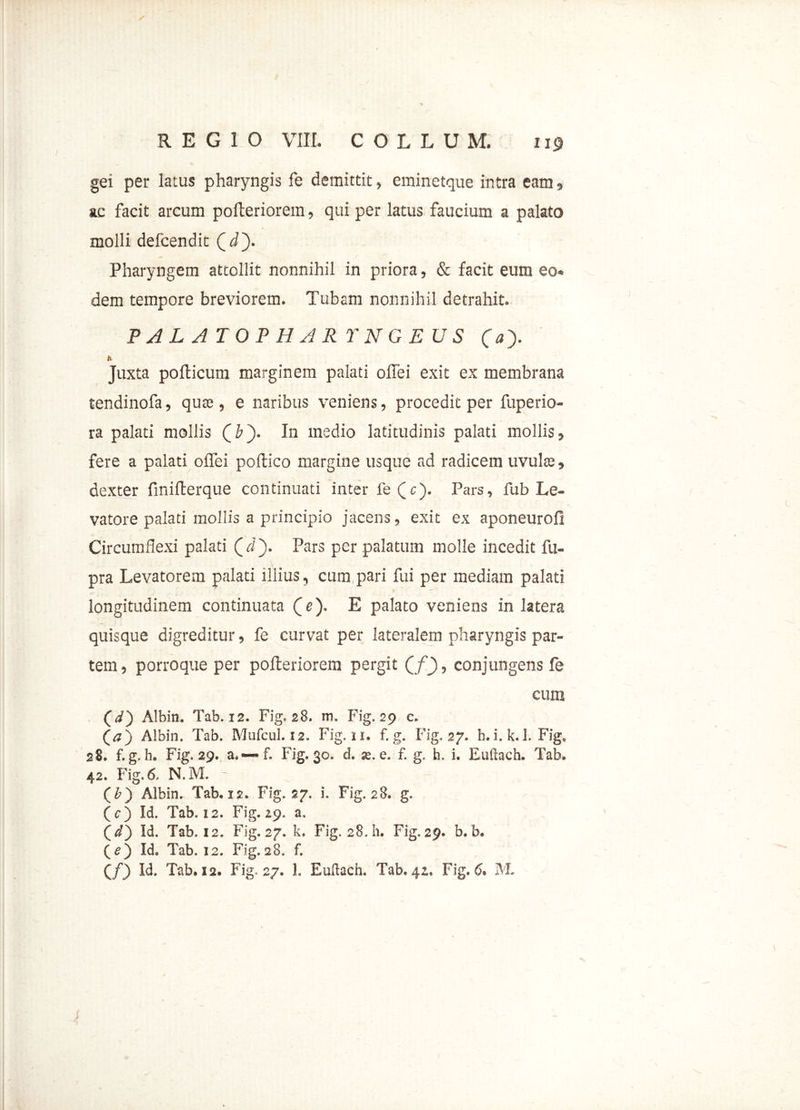 gei per latus pharyngis fe demittit, eminetque intra eam, ac facit arcum pofteriorem, qui per latus faucium a palato molli defcendit Pharyngem attollit nonnihil in priora, & facit eum eo* dem tempore breviorem. Tubam nonnihil detrahit. PALATOPHARYNGEUS (a). Juxta pofticum marginem palati oflei exit ex membrana tendinofa, quae , e naribus veniens, procedit per fuperio- ra palati mollis Qb). In medio latitudinis palati mollis, fere a palati oflei poftico margine usque ad radicem uvulae, dexter fmifterque continuati inter fe (c). Pars, fub Le- vatore palati mollis a principio jacens, exit ex aponeurofi Circumflexi palati (r/). Pars per palatum molle incedit fu- pra Levatorem palati illius, cum pari fui per mediam palati longitudinem continuata (e). E palato veniens in latera quisque digreditur, fe curvat per lateralem pharyngis par- tem, porroque per pofteriorem pergit (f), conjungens fe cum (i) Albin. Tab. 12. Fig, 28, m. Fig. 29 c. (#) Albin. Tab. Mufcul. 12. Fig. 11. f. g. Fig, 27. h.i.k. 1. Fig, 28. f. g. h. Fig. 29. a.— f. Fig. 30. d. se. e. f. g. h. i. Euftach. Tab. 42. Fig. 6. N.3VL - (£) Albin. Tab, 12. Fig. 27. i. Fig. 28. g. (c) Id. Tab. 12. Fig. 29, a, Qd') Id. Tab. 12. Fig. 27. k. Fig. 28. h. Fig.29. b.b. Qe') Id. Tab. 12. Fig. 28. f.