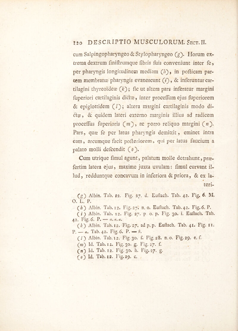 cum Salpingopharyngeo & Stylopharyngeo (g). Horum ex- trema dextrum finiftrumque fibris fu is conveniunt inter fe, per pharyngis longitudinem mediam 00 > 10 pofticam par- tem membrana; pharyngis evanescunt (jj, & inferuntur car- tilagini thyreoidea; (k~); fic ut altera pars inferatur margini fuperiori cartilaginis diftte, inter procelTum ejus fuperiorem & epiglottidem (/); altera margini cartilaginis modo di- ctce, & quidem lateri externo marginis illius ad radicem proceffus fuperioris ac porro reliquo margini (_ n~). Pars, qua; fe per latus pharyngis demittit, eminet intra eam, arcumque facit pofteriorem, qui per latus faucium a palato molli defcendit (o). Cum utrique fimul agunt, palatum molle detrahunt,pra- fertim latera ejus, maxime juxta uvulam: fimul curvant il- lud, redduntque concavum in inferiora & priora, & ex la- ✓ # teri- (g') Albin, Tab, 12. Fig. 27. d. Euftach. Tab. 42. Fig. 6, M, O. Ls P. (A) Albin. Tab. 12. Fig. 27. n. 0. Euftach. Tab. 42. Fig.6. P. (i) Albin. Tab. 12. Fig. 27. p o. p. Fig. 30. i. Euftach. Tab. 42. Fig.6. P. — atc£.a, (A) Albin. Tab. 12. Fig. 27. ad p. p. Euftach. Tab. 41. Fig. 11. P, — a. Tab. 42. Fig. 6. P. —/3. (/) Albin. Tab. 12. Fig. 30. f. Fig. 28. n. 0. Fig. 29. e. f, (m) Id. Tab, 12. Fig. 30, g. Fig. 27. f. (>?) Id. Tab. 12. Fig. 30. h. Fig, 27. g.