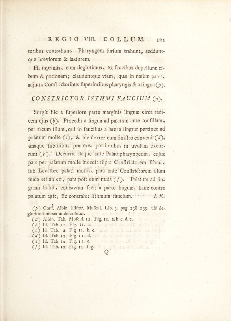 teribus contrahunt. Pharyngem furfum trahunt, reddunt- que breviorem & laxiorem. Hi inprimis, cum deglutimus, ex faucibus depellunt ci- bum & potionem; clauduntque viam, quas in nafum patet, adjuti a Conftridoribus fuperioribus pharyngis & a lingua (p), CONSTRICTOR ISTHMI FJUCIUM (» Surgit hic a fuperiore parte marginis linguae circa radi- cem ejus (b~). Procedit a lingua ad palatum ante tonfillam, per arcum illum,qui in faucibus a latere linguae pertinet ad palatum molle (V), & hic dexter cum finiftro convenit(d^), ... „ “ ^ s . ^ 1 , yv.* . j. . ■ y ** > . C * * \ imaque fubtilibus prfeterea portionibus in uvulam excur- 4 t / • ■ 4 * •- * runt Qe'). Decurrit itaque ante Palatopharyngeum, cujus * * * /■ . ... pars per palatum molle incedit fupra Conftriftorem ilfchmi, fub Levatore palati mollis, pars ante Conftridtorem illum nuda eft ab eo, pars poft eum nuda Cf)- Palatum ad lin- r ? ' •» 4 v\. , « ,• , ■ - , - > ; , , .*» .. guam trahit, concavum facit a parte linguas, hanc contra palatum agit, fic contrahit iflhmum faucium.* ^* LE« (p) Corf. Albin. Hi flor. Mufcul. Lib. 3. pag. 230. 239. ubi de- glutitio fummadm defcribitur. Qa') Albin. Tab. Mufcul. 12. Fig. ii, a.b.c.d.e. (£) Id. Tab. 12. Fig. XI. a. (e) Id Tab. 2. Fig 11. b. c* (^/) Id. Tab. 12. Fig. 11. d. (>) Id. Tab. 12. Fig. 11. e. (/) Id, Tab, 12. Fig. 11. f. g. Q