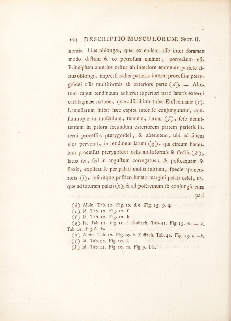 nentis illius oblongas, quae ex eodem ofTe inter foramen modo didtum & os petrofum eminet, porre&um elL Principium anterius oritur ab interiore eminente pariete fi- nus oblongi, impresfi radici parietis interni proceflirs ptery- goidei offis multiformis ab exteriore parte Qdy — Alte- tum caput tendineum adhasret fuperiori parti lateris externi cartilagines naturte, quas adfcribitur tubs Euftachiante (ey Lamellarum inltar hasc capita inter fe conjunguntur, con- fluuntque in mufculum, tenuem, latum (/)’ fefe demit- tentem in priora fecundum exteriorem partem parietis in- terni proceflus pterygoidei, & abeuntem, ubi ad finem ejus pervenit, in tendinem latum (jg), qui circum hamu- lum proceflus pterygoidei osfis multiformis fe flectit Qh\, latus ibi, fed in anguflum corrugatus j & pofteaquam fe flexit, explicat fe per palati mollis initium, Ipecie aponeti- rofis (i), inferitque poftico lunato margini palati osfei, us- que ad futuram palati (.i), & ad poftremum fe conj ungit cum , . pari (i) Albin. Tab. 12. Fig. 10. d. e. Fig. 15. p. q, (e ) ld. Tab. ia. Fig. 10. f. (/) Id. Tab. 12. Fig. so. h. (g) ld. Tab. 12. Fig. 10. i. Eulhch. Tab.+i. Fig. 13. ©. ^ Tab. 42. Fig. 6. E. (/2) Albin. Tab. 1 a. Frg. 10. k. Euilach. Tab. 41. Fig. i*. i ) Id, Tab. 12. Fig. 10. J.