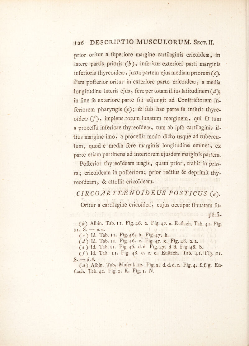 \ \ . ■ prior oritur a fuperiore margine cartilaginis cricoideae, in latere partis prioris (b), infertur exteriori parti marginis inferioris thyreoideae, juxta partem ejus mediam priorem (V). Pars pofterior oritur in exteriore parte cricoideae, a media longitudine lateris ejus, fere per totam illius latitudinem (W); in fine fe exteriore parte fui adjungit ad Conftridtorem in- feriorem pharyngis (e); & fub hac parte fe inferit thyre- oideae (/), implens totum lunatum marginem, qui fit tum a proceflfu inferiore thyreoideae, tum ab ipfo cartilaginis il- lius margine imo, a proceflfu modo di(5to usque ad tubercu- f lum, quod e media fere marginis longitudine eminet, ex parte etiam pertinens ad interiorem ejusdem marginis partem. Pofterior thyreoideam magis, quam prior, trahit in prio- ra; cricoideam in pofteriora; prior re&ius & deprimit thy- reoideam , & attollit cricoideam. ■ ■ v ; : . j.'- . ■: CIRCOAR TTJENOIDEUS POSTICUS (a). ^ • •• ■ r r yi r~\ r ■ -• t Oritur a cartilagine cricoidea, cujus occupat finuatam fu- perfi- (Z>) Albin. Tab. ii. Fig.46. a. Fig.47. a. Euilach. Tab. 41. Fig. 1 I . S. ~~~ CZ. CZ. (c) Id. Tab. II. Fig.46. b. Fig 47. b. ( d) Id. Tab. 11. Fig. 46. c. Fig. 47. c. Fig. 48. a. a. (e) Id. Tab. 11. Fig.. 46. d. d. Fig. 47. d d. Fig. 48. b. (/) Id. Tab. 11. Fig. 48. c. c. c. Euftach. Tab. 41. Fig. ji, S. ■— (a) Albin. Tab, Mufcul. 12. Fig. 2. d. d.d.e. Fig. 4, f. f. g. Eu- (laoh. Tab. 42. Fig. 2. K. Fig. 1, N.