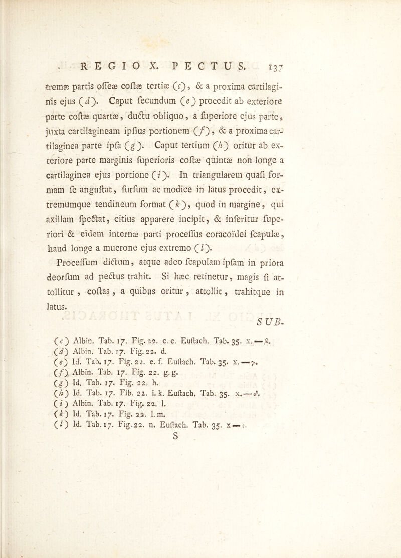  - - ’ ' V - ■ ,1 tremam partis oileee collas tertiae (ch, & a proxima cartilagi- nis ejus (J). Caput fecundum Qej procedit ab exteriore parte coftae quartae, ductu obliquo, a fuperiore ejus parte» juxta cartilagineam ipfius portionem (/), & a proxima car- tilaginea parte ipfa (g). Caput tertium (h) oritur ab ex- teriore parte marginis fuperioris collae quintae non longe a cartilaginea ejus portione (i). In triangularem quafi for- mam fe anguftat, furfum ac modice in latus procedit, ex- tremumque tendineum format ( k ), quod in margine, qui axillam fpedlat, citius apparere incipit, & inferitur fupe» riori & eidem internae parti proce iliis coracoidei fcapuloe, haud longe a mucrone ejus extremo (iy Procelfum dictum, atque adeo fcapulam ipfam in priora deorfum ad pedtus trahit. Si haec retinetur, magis fi at- tollitur , collas, a quibus oritur, attollit, trahitque in latus. * * ^ ^ ; * «j-■ 5 UB<* (c) Albin, Tab. 17. Fig.22. c. c. Euftach. Tab. 35. x, — {d) Albin. Tab. 17. Fig.22. d. (tf) Id. Tab. 17. Fig. 22. e. f. Euftach. Tab. 35. x. — 7. (/) Albin. Tab. 17. Fig. 22. g. g. (g) Id. Tab. 17. Fig. 22, h, Qh) Id. Tab. 17. Fib. 22. i. k. Eullach, Tab. 35. x. — <P. ( i) Albin. Tab. 17. Fig. 22. 1. Ck) Id. Tab. 17. Fig. 22. 1. in. (/) Id. Tab, 17. Fig,22. n, Euflach. Tab. 35. x—«e, s