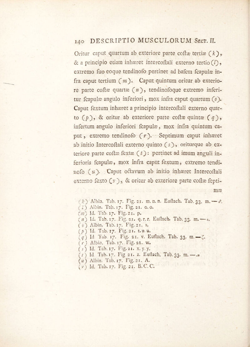 Oritur caput quartum ab exteriore parte coii* tertias 4, & a principio etiam inhasret intercoilali externo tertio (J), extremo fuo eoque tendinofa pertinet ad bafem fcapulte in- fra caput tertium ( m ). Caput quintum oritur ab exterio- re parte coflas quartae (»), tendinofoque extremo inferi- tur fcapulte angulo inferiori, mox infra caput quartum (V). Caput fextum inhaeret a principio intercoilali externo quar- to Cp) ? & oritur ab exteriore parte coilas quintae CO> infertum angulo inferiori fcapulte, mox infra quintum ca- put , extremo tendinofo (r\ Septimum caput inhasret ab initio Intercoilali externo quinto CO» oriturque ab ex- teriore parte coilas fextte Qf): pertinet ad imum anguli in- ferioris fcapulte, mox infra caput fextum, extremo tendi- nofo («;). Caput odtavum ab initio inhaeret Intercoilali externo fexto £*■),. & oritur ab exteriore parte collae fepti- mte * • l:} Albin. Tab. 17. Fig. 21. m. n. n. Eudach. Tab. 33. itl~A (Z) Albin. Tab. 17. Fig. 21. a. o. Cm) Id. Tab. 17. Fig. 21. p. (>) Id. Tab. 17. Fig. 2.1. q.r, r. Euftach. Tab. 33, m. — e* ( 0 ) Albin. Tab. 17. Fig. 21. s. (/>) Id. Tab. 17. Fig. 21. t.iru. (^) Id Tab. 17. Fig. 21. v. Euftach. Tab. 33. m.— £* ( r ) Albin. Tab. 17. Fig. 21- w. (s) Id. Tab. 17. Fig. 21. x. y. y. (/) Id. Tab. 17, Fig 21. z. Euilach. Tab. 33. m.— (u) Albin. Tab. 17. Fig. 21. A. ( v) Id. Tab. 17. Fig. 21. B.C.C. /