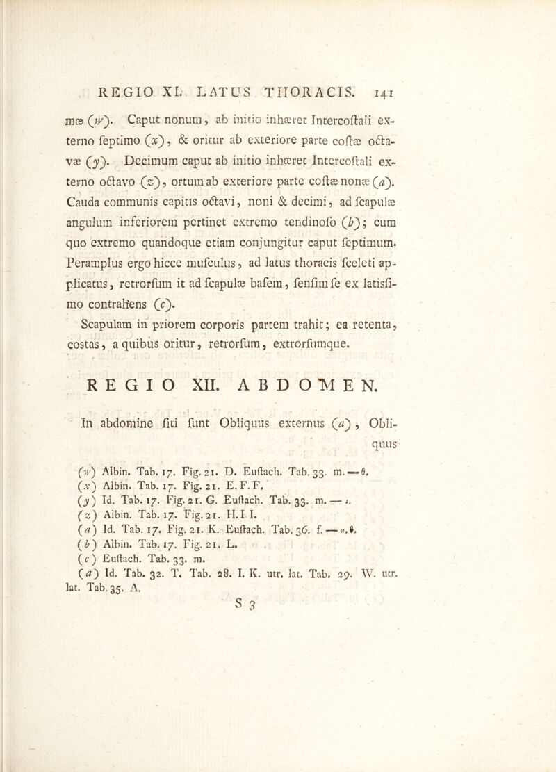 mas (V). Caput nonum, ab initio inhaeret Intercoflali ex- terno feptimo (x), & oritur ab exteriore parte cofte ofta- vte (yy Decimum caput ab initio inhaeret Intercollali ex- terno oclavo (js), ortum ab exteriore parte coftte nonte (V). Cauda communis capitis oblavi, noni & decimi, ad fcapulte angulum inferiorem pertinet extremo tendinofo (T); cum quo extremo quandoque etiam conjungitur caput feptimum. . . , V < . ' f • Peramplus ergohicce mufculus, ad latus thoracis fceleti ap- plicatus , retrorfum it ad fcapulte bafera, fenfim fe ex latisfi- mo contrahens (Y). Scapulam in priorem corporis partem trahit; ea retenta, ; ' ' f . : costas, a quibus oritur, retrorfum, extrorfumque. REGIO XII. ABDOMEN. In abdomine fici funt Obliquus externus (V) ? Obli- quus (w) Albin. Tab. 17. Fig.21. D. Eudach. Tab, 33. (.v) Albin. Tab. 17. Fig.21. E. F. F. (y ) Id. Tab. 17. Fig. 21. G. Eudach. Tab. 33. m. — /. (z) Albin. Tab. 17. Fig.21. H.FI. (a) Id. Tab. 17. Fig.21. K. Eudach.. Tab. 36. f. — (b) Albin. Tab. 17. Fig.21. L. (c) Eudach. Tab. 33. m. (#) Id. Tab. 32. T. Tab. 28. I. K. utr. lat. Tab. 29. W. utr. lat. Tab, 35, A. s 3