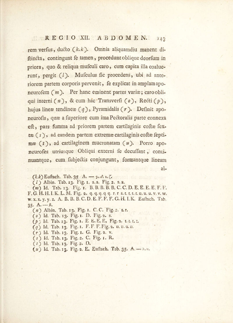 rem verfus, dudto (_k.k'). Omnia aliquamdiu manent di- ftin&a, contingunt fe tamen, procedunt oblique deorfum in priora, quo & reliqua mufculi caro, cum capita illa coalue- runt, pergit (/). Mufculus fic procedens, ubi ad ante- riorem partem corporis pervenit, fe explicat in amplam apo- neurofem (m). Per hanc eminent partes varis; caro obli- qui interni (n), & ciun hac Transverfi (a), Redii (p), hujus lines tendines Pyramidalis (Yj). Definit apo- neurofis, qus afuperiore cum ima Pedtoralis parte connexa eft, pars fumma ad priorem partem cartilaginis colis fex- ts (s), ad eandem partem extrems cartilaginis colis fepti- ms (Y), ac* cartilaginem mucronatam (»j). Porro apo- neurofes utriusque Obliqui externi fe decubant, conti- nuantque, cum fubjedlis conjungunt, formantque lineam ab (E£) Euftaeh. Tab. 35 A. — y. S. e. (/) Albin. Tab. 13. Fig. 1. a. a. Fig. 2. a. a. (jn) Id. Tab. 13. Fig. 1. B. B. B. B. B. C. C. D. E. E. E. E. F. F. F. G H. H. I. K. L. M. Fig. 2. q. q. q. q q. r. r s. 1.1.1.1. u. u. u. v, v. w. w. x. x. y. y. z. A. B. B. B. C. D. E. F. F. F. G. H. I. K. Euftaeh. Tab, 35. A. — £. (») Albin. Tab. 13. Fig. 1. C.C. Fig.2. E.r. (0) Id, Tab. 13. Fig. 1. D. Fig, 2. s. (p) Id. Tab. 13. Fig. 1. E E. E. E. Fig. a. 1.1.1. (Y) Id. Tab. 13. Fig. 1. F. F F.Fig. 2. u. u.u. u. (r) Id. Tab. 13. Fig. 1. G. Fig.2. v, (?) Id. Tab. 13. Fig.2. C. Fig. 1. R. (?) Id. Tab. 13. Fig.2. D. (#) Id, Tab. 33. Fig.2. E. Etiftach. Tab. 35. A. — *.*.