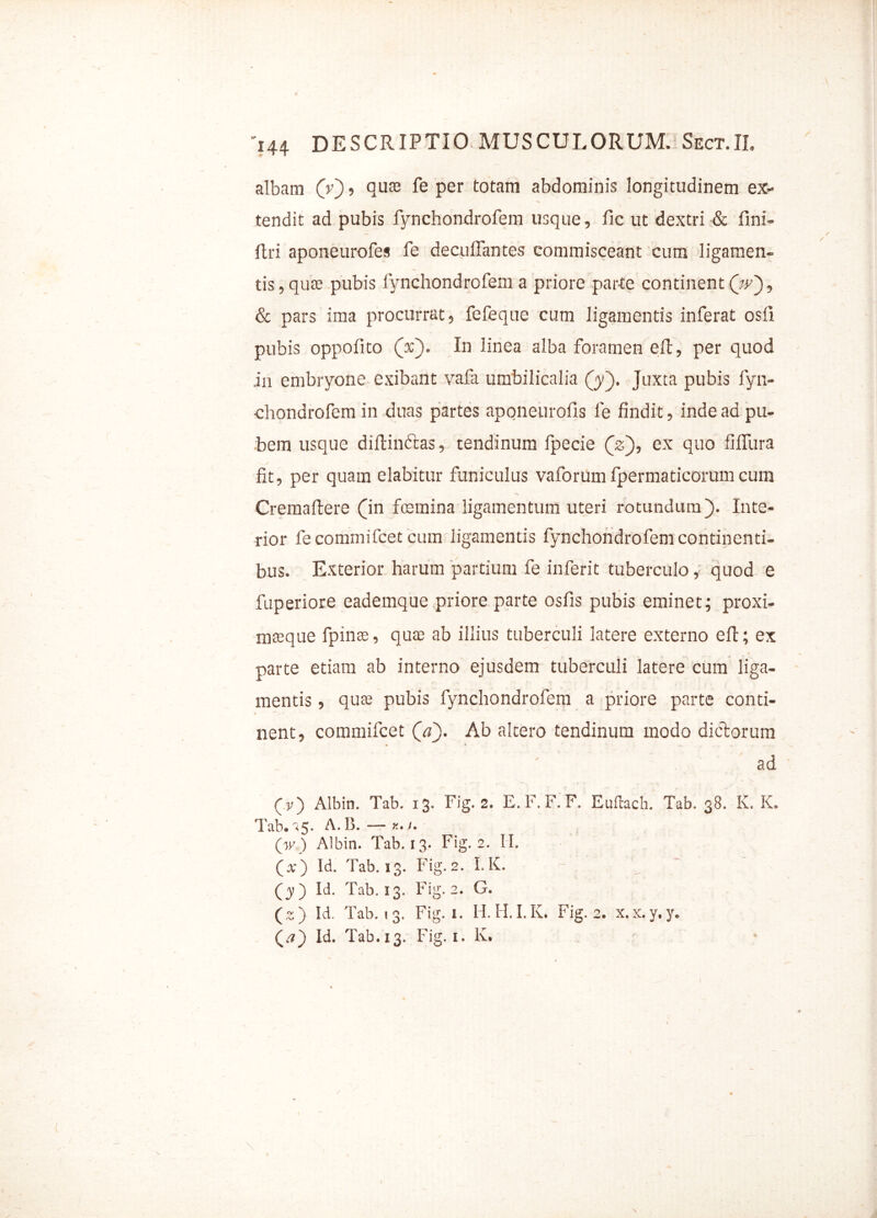 albam (V), (lUEe Per totam abdominis longitudinem ex- tendit ad pubis fynchondrofem usque, fic ut dextri & fini- flri aponeurofes fe decuffantes commisceant cum ligamen- tis, qute pubis fynchondrofem a priore parte continent (V), & pars ima procurrat, fefeque cum ligamentis inferat osfi pubis oppofito (V). In linea alba foramen elt, per quod ,in embryone exibant vafa umbilicalia (jy). Juxta pubis fyn- chondrofem in duas partes aponeurofis fe findit, inde ad pu- bem usque difthnftas, tendinum fpecie Qz), ex quo fifiura fit, per quam elabitur funiculus vaforum fpermaticorum cum Cremaftere (in femina ligamentum uteri rotundum). Inte- rior fecommifcet cum ligamentis fynchondrofem continenti- bus. Exterior harum partium fe inferit tuberculo, quod e fuperiore eademque priore parte osfis pubis eminet; proxi- mteque fpinte, qute ab illius tuberculi latere externo efc; ex parte etiam ab interno ejusdem tuberculi latere cum liga- mentis , qute pubis fynchondrofem a priore parte conti- nent, commifcet (V). Ab altero tendinum modo dictorum ad (v~) Albin. Tab. 13. Fig. 2. E. F. F. F. Euftach. Tab. 38. K. K. Tab. '<5. A. B. — x. 1. (w) Albin. Tab. 13. Fig. 2. II. (x) Id. Tab. 13. Fig. 2. I. K. (y) Id. Tab. 13. Fig. 2. G. (z) Id. Tab. 13. Fig. 1. H.H.I.K. Fig. 2. x.x.y.y. (.■7) Id. Tab.13. Fig. 1. K. \