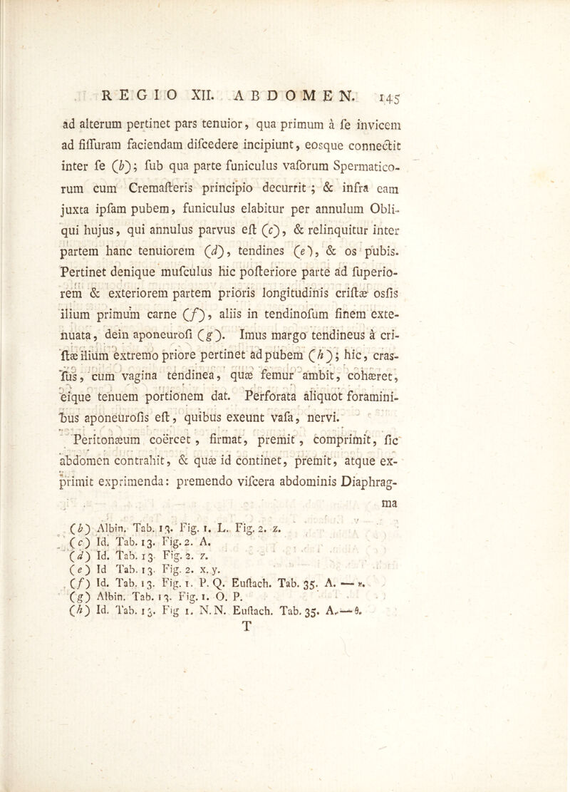 REGIO XII. ABDOMEN. ad alterum pertinet pars tenuior, qua primum a fe invicem ad fififuram faciendam difcedere incipiunt, eosque connectit inter fe (b'); fub qua parte funiculus vaforum Spermatico- rum cum Cremafleris principio decurrit ; & infra eam juxta ipfam pubem, funiculus elabitur per annulum Obii- qui hujus, qui annulus parvus eft (c), & relinquitur inter partem hanc tenuiorem (d), tendines (e), & os pubis. * i * - f ^ i ' Pertinet denique mufculus hic pofteriore parte ad fuperio- . ■ . f T : ' i • ; ■ * ■ * - ^ - ?* ; • ~ ^ , ; T / f: rem & exteriorem partem prioris longitudinis criflae osfis ilium primum carne (/), aliis in tendinofum finem exte- nuata, dein aponeurofi Imus margo tendineus a cri- ftae ilium extremo priore pertinet ad pubem hic, cras- Tus, cum vagina tendinea, quos femur'ambit, cohaeret, ^ f * * r * - . •*-«.. % ' ' f f ' 1 \ • • 5' ' = »► * . eique tenuem portionem dat. Perforata aliquot foramini- .X > • 1 . - / * . ■. ^ , bus aponeurofis eft, quibus exeunt vafa, nervi. * , V 7 * ► .e *> ' - i r\  , * ^ ; r *» 1 ■' , -}• f » Peritonteum coercet, firmat, premit, comprimit, fic ' \ * * t . ' * ' •• o •- ■ • “ • r ff e 7 ' ,-r f'y i — abdomen contrahit, & qute id continet, premit, atque ex- e-« -*■ ~ ^ primit exprimenda: premendo vifcera abdominis Diaphrag- ma (£) Albir?. Tab. 13. Fig. 1. L. Fig, 2. z. (c) Id. Tab. 13. Fig.2. A. fd) Id. Tab. 13. Fig.2. z. - 1 ( e ) Id Tab, 13. Fig. 2. x. y. . (/) Id. Tab. 13. Fig. 1. P. Q. Euftach. Tab. 35. A. (g) Albin. Tab. 13. Fig. 1. O. P. Id. Tab. 13. Fig 1, N. N. Euftach. Tab. 35. A,. T a.