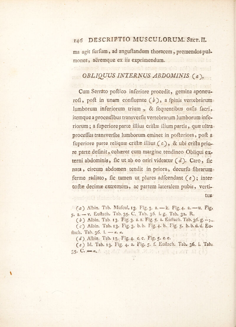 ma agit furfum, ad angufiandum thoracem, premendos pul- mones , aeremque ex iis exprimendum. OBLIQUUS INTERNUS ABDOMINIS (». *• ' . * r * > * *v ; t * * Cum Serrato poftico inferiore procedit, gemina aponeu- rofi, pofl in unam confluente Qb'), a fpinis vertebrarum lumborum inferiorum trium & fequentibus osfis facri, . v - »-. • 4. v-' » . - . \ J i i * A . tm_ itemque a procesfibus transverfis vertebrarum lumborum infe- riorum; a fuperiore parte illius criflre ilium partis, qute ultra- procelfus transverfos lumborum eminet in pofteriora, pofl a • -J •' -5 ■. J ... - - •* 'i j -* - • - * / »- • * ■ £. v. ■»- fuperiore parte reliquas crifte illius ( c*'), & ubi crifta prio— C ***'-* * - ' ■* x * * ' - ’ v - * ^ , - i S , v ; . j. re parte definit, cohaeret cum margine tendineo Obliqui ex- v c * - - v_ .. 2. terni abdominis, fic ut ab eo oriri videatur (_d~). Caro, iic nata, circum abdomen tendit in priora, decurfu fibrarum - ferme radiato, fic tamen ut plures adfcendant Qe'); inter ^ - * I 1 !  , - ' -• 1 r * J - Goftae decimae extremum? ac partem lateralem pubis ? verti- tur (a') Albin. Tnb. Mufcul. 13. Fig. 3. a. — k. Fig. 4. a.—u. Fige 5, a. — v. Euftach. Tab. 35. C. Tab. 36. Lg. Tab. 32. R. (£) Albin, Tab 13. Fig. 3. a. a. Fig. 5. a. Euftach. Tab. 35. g. (c) Albin. Tab. 13. Fig. 3. b. b. Fig. 4. b.Fig, 5. b.b.d.d. Eur ftach. Tab. 36. i. — <*, &. (d) Albin. Tab. 13. Fig. 4. c. c. Fig. 5, e. e. (e) Id. Tab. 13. Fig. 4. a. Fig. 5, f. Euftach. Tab. 36, L Tabe