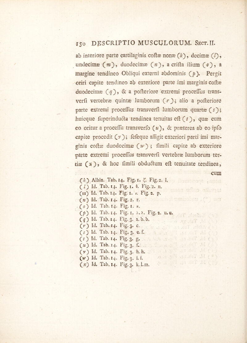 ab interiore parte cartilaginis, coftae nonas Q€), decima (/) , undecimas duodecimas a crifta ilium (0), a margine tendineo Obliqui externi abdominis Qpy Pergit oriri capite tendineo ab exteriore parte imi marginis coflas duodecimae (q)9 & a pofteriore extremi procefius trans- verfi vertebras quintas lumborum Cr); alio a pofteriore parte extremi proceflus transverfi lumborum quartas Qs~); huicque fuperindudta tendinea tenuitas eft (t), quae cum eo oritur a proceflli transverfo (^), & praeterea ab eo ipfo capite procedit (>); fefeque affigit exteriori parti imi mar- ginis coflas duodecimas ; fimili capite ab exteriore parte extremi proceflus transverfi vertebrae lumborum ter- tiae & hoc fimili obductum eft tenuitate tendinea, cum (&) Albin. Tab. 14. Fig. 1. £ Fig.2. I (/) Id. Tab. 14. Fig, 1. 8. Fig,'2. n. (//j) Id. Tab. 14. Fig. 1. /. Fig.2. p. (») Id. Tab. 14. Fig.2. r. * (0) Id. Tab. 14. Fig. 1. (p) Id. Tab. 14. Fig. 1. h.. x. Fig. 2. u*-«u (g) Id. Tab. 14. Fig. 3. a. b. b. (r) Id. Tab. 14. Fig. 3. c. (<>) Id. Tab. 14. Fig. 3. e. f. (f ) Id. Tab. 14. Fig. 3. g. (u) Id. Tab. 14. Fig. 3. f. (y) Id. Tab. 14. Fig. 3. h. h. (#>) Id. Tab. 14. Fig. 3. i. i. 4 • • (ar) Id. Tab. 14. Fig.3. k.l.m.