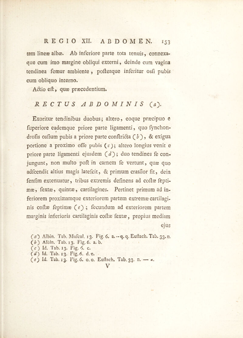 tam lineae albae. Ab inferiore parte tota tenuis, connexa- que cum imo margine obliqui externi, deinde cum vagina tendinea femur ambiente , pofleaque inferitur osfi pubis cum obliquo interno. Adtio eft, quae praecedentium. RECTUS ABDOMINIS (a> Exoritur tendinibus duobus; altero, eoque praecipuo e fuperiore eademque priore parte ligamenti, quo fynchon- drofis osfium pubis a priore parte conftri&a Q b ), & exigua portione a proximo offe pubis (c); altero longius venit e priore parte ligamenti ejusdem (jJ); duo tendines fe con- jungunt, non multo poft in carnem fe vertunt, quae quo adfcendit altius magis latefcit, & primum crasfior fit, dein fenfim extenuatur, tribus extremis definens ad coftae fepti- mte, fextae, quintae, cartilagines. Pertinet primum ad in- feriorem proximamque exteriorem partem extremae cartilagi- nis coftae feptimae (e) ; fecundum ad exteriorem partem marginis inferioris cartilaginis collae fextee, propius mediam ejus (a~) Albin. Tab. Mufcul. 13. Fig. 6. a. --q. q. Euilach. Tab. 33. n. (&) Albin. Tab. 13. Fig. 6. a. b. ( c ) Id. Tab. 13. Fig. 6. c. (d~) Id. Tab. 13. Fig. 6. d.e. («3 D. Tab. 13. Fig. 6. 0.0. Euilach. Tab. 33. n. — *. V