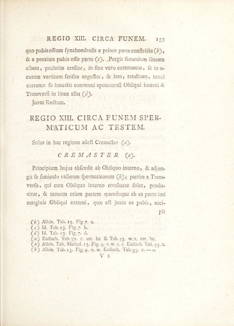 quo pubis offium fynchondrofis a priore parte conftridta (T), & a proxima pubis offis parte (c). .Pergit fecundum 'ineam albam, paulatim craffior, in fine vero extenuatus, fe in a- cutum verticem fenfim anguftat, & lato, tendineo, tenui extremo fe innectit communi aponeurofi Obliqui interni & Transverfi in linea alba (Vi). Juvat Rectum. REGIO XIII. CIRCA FUNEM SPER- MATICUM AC TESTEM. Solus in hac regione adeil; Cremafter ('a «' -1 * r s ,• 1•» CREMASTER (V). Principium hujus abfcedit ab Obliquo interno, & adjun- git fe funiculo vaforum fpermaticorum (F); partim a Trans- verfo, qui cum Obliquo interno confluere folet, produ- citur, & tenuem etiam partem quandoque ab ea parte imi marginis Obliqui externi, qute effc juxta os pubis, acci- pit (b') Albin. Tab, 13. Fig 7. a. (c) Id. Tab. 13. Fig. 7. b. (</) Id. Tab. 13. Fig. 7. d. [a) Euftach. Tab.32. r. utr. lac. & Tab.33. w,x. utr. lac. (7/) Albin. Tab. Mufcul. 13. Fig. 4. v. w. x. x Euftach. Tab. 33. x, (b) Albin. Tab. 13. Fig.4. v. w. Euftach. Tab.33. x. — 2. V 2