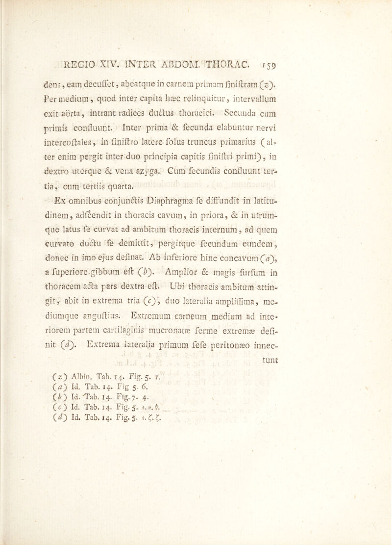 dens, eam decuffet, abeatque in carnem primam finiftram (s). Per medium, quod inter capita haec relinquitur, intervallum exit aorta, intrant radices ductus thoracici. Secunda cum primis confluunt. Inter prima & fecunda elabantur nervi intercoftales, in finiflro latere folus truncus primarius (al- ter enim pergit inter duo principia capitis finifhi primi), in dextro uterque & vena azyga. Cum fecundis confluunt ter- tia , cum tertiis quarta. Ex omnibus conjundtis Diaphragma fe diffundit in latitu- dinem, adfbendit in thoracis cavum, in priora, & in utrum- que latus fe curvat ad ambitum thoracis internum, ad quem curvato ductu fe demittit, pergitque fecundum eundem, r ‘ «#■ ' donec in imo ejus delinat. Ab inferiore hinc concavum (#), a fuperiore.gibbum eft (b~). Amplior & magis furfum in thoracem a<Sta pars dextra eft. Ubi thoracis ambitum attin- git, abit in extrema tria (Y), duo lateralia ampliffima, me- diumque anguftius. Extremum carneum medium ad inte- riorem partem cartilaginis mucronati® ferine extremi® defi- nit (rf). Extrema lateralia primum fefe peritonaeo innec- (Y) Id. Tab. 14. Fig 5. 6. {'b') Id.‘Tab. 14. Fig. 7. 4. (c) Id. Tab. 14. Fig. 5. e.». 5. (r/) Id. Tab. 14. Fig. 5. ;. 'C tunt